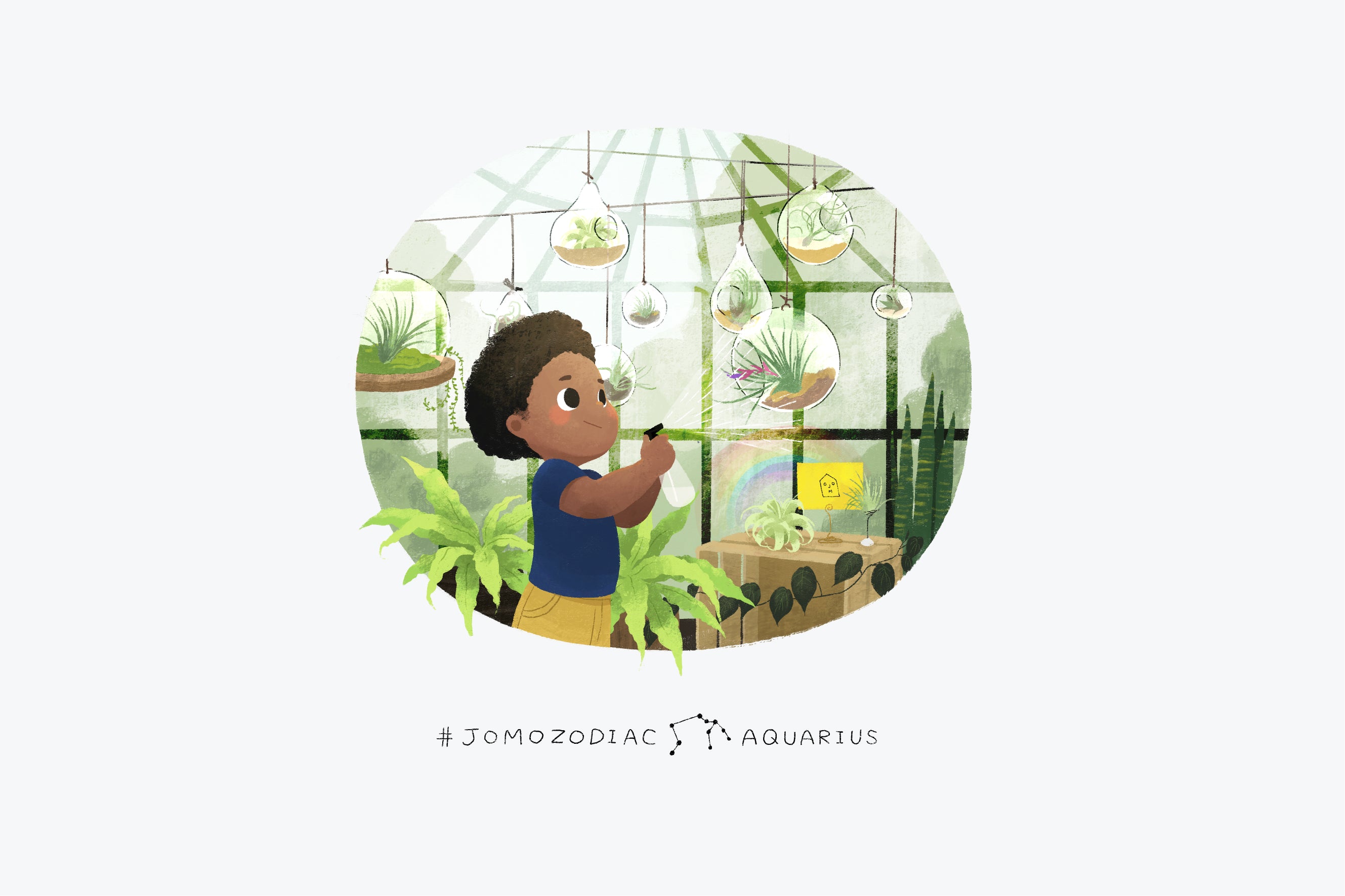 The Perfect Plant for the Aquarius in Your Life | Plant Zodiac - JOMO Studio
