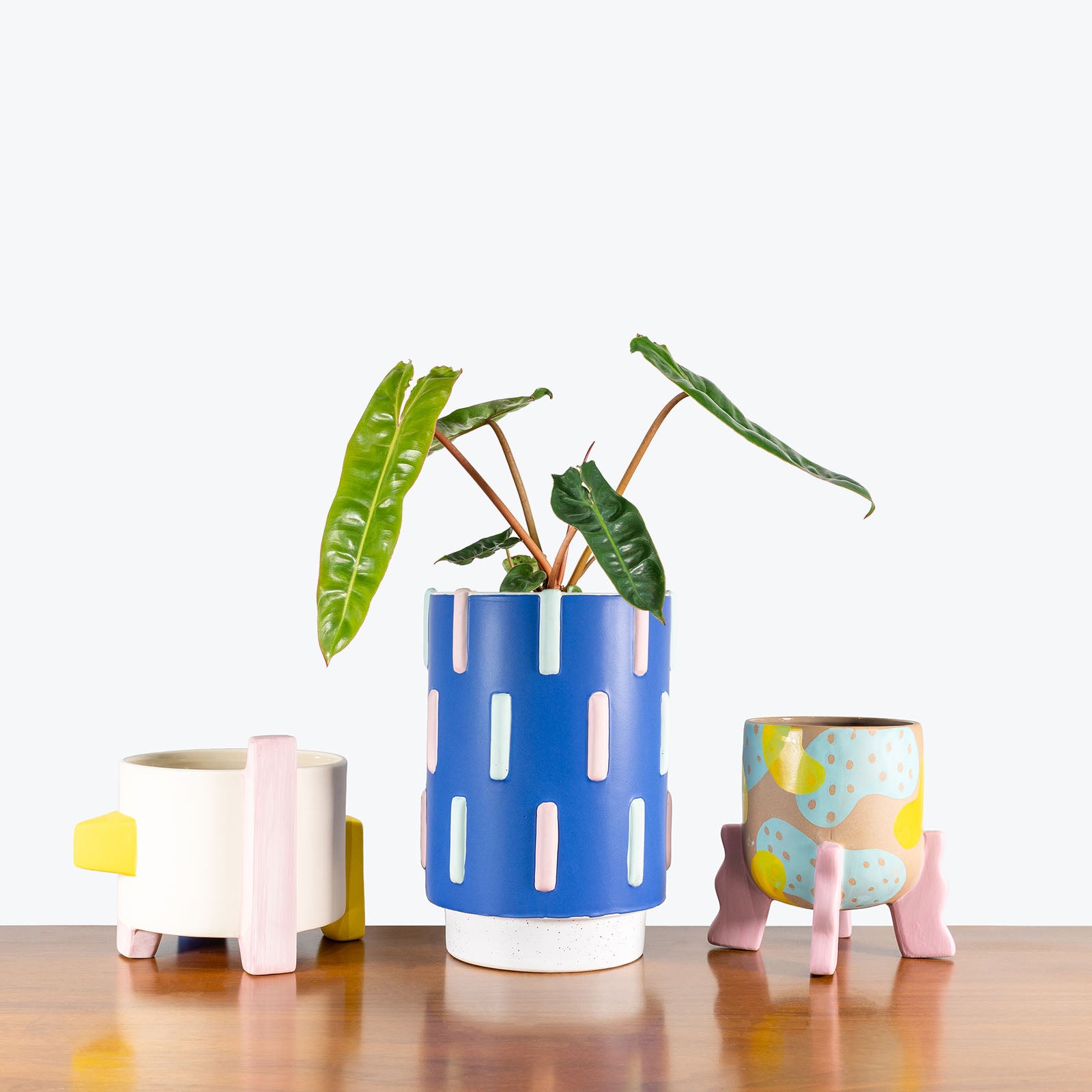 Artist Collection Planter - House Plants Delivery Toronto - JOMO Studio