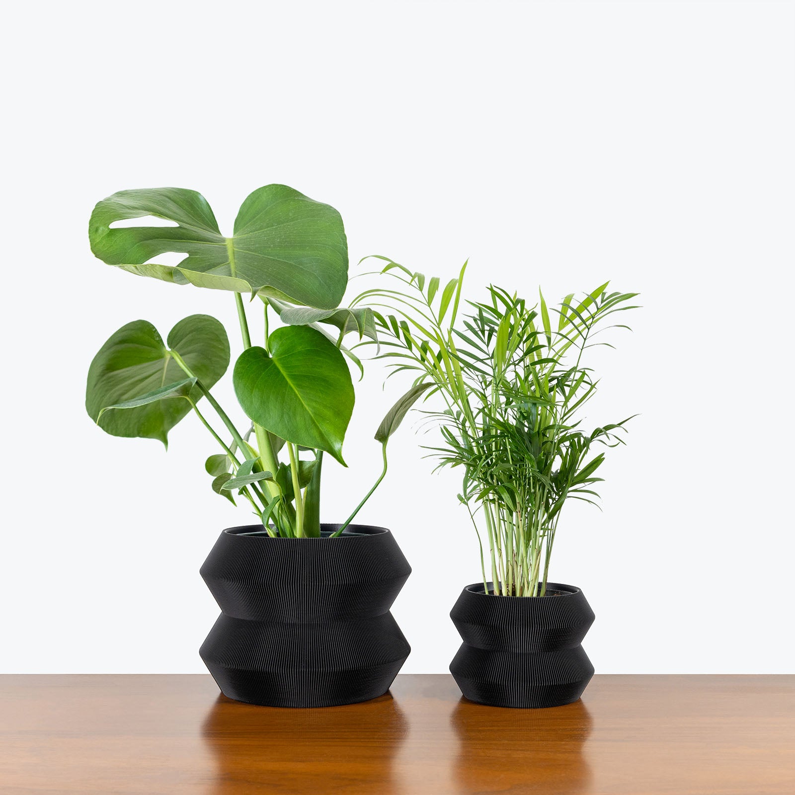 Best Selling Duo in 3D Printed Eco Friendly Geo Black Planter - House Plants Delivery Toronto - JOMO Studio #planter_geo planter