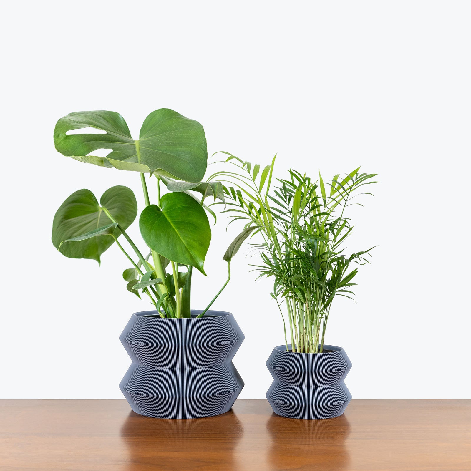 Best Selling Duo in 3D Printed Eco Friendly Geo Grey Planter - House Plants Delivery Toronto - JOMO Studio #planter_geo planter