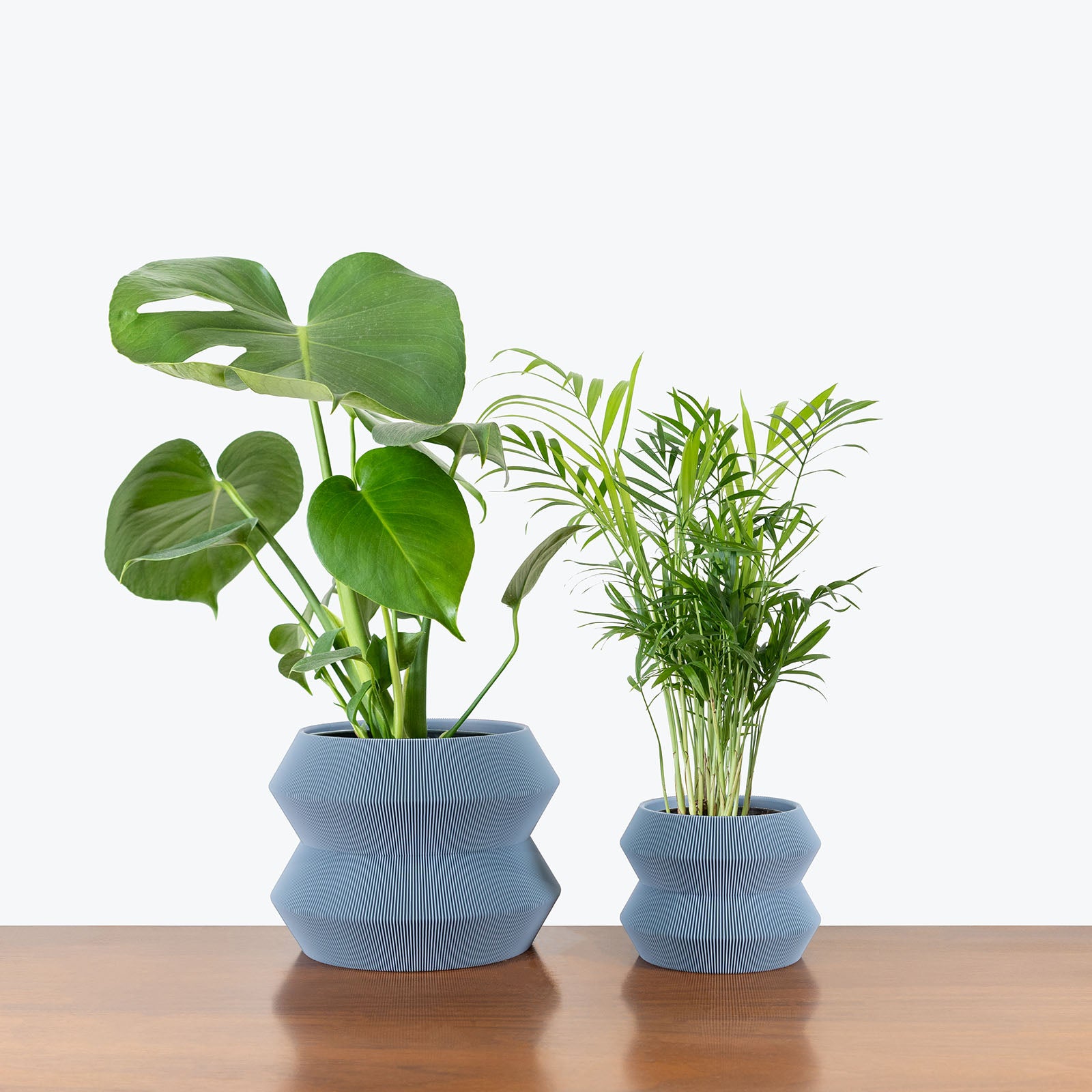 Best Selling Duo in 3D Printed Eco Friendly Geo Grey Planter - House Plants Delivery Toronto - JOMO Studio #planter_geo planter