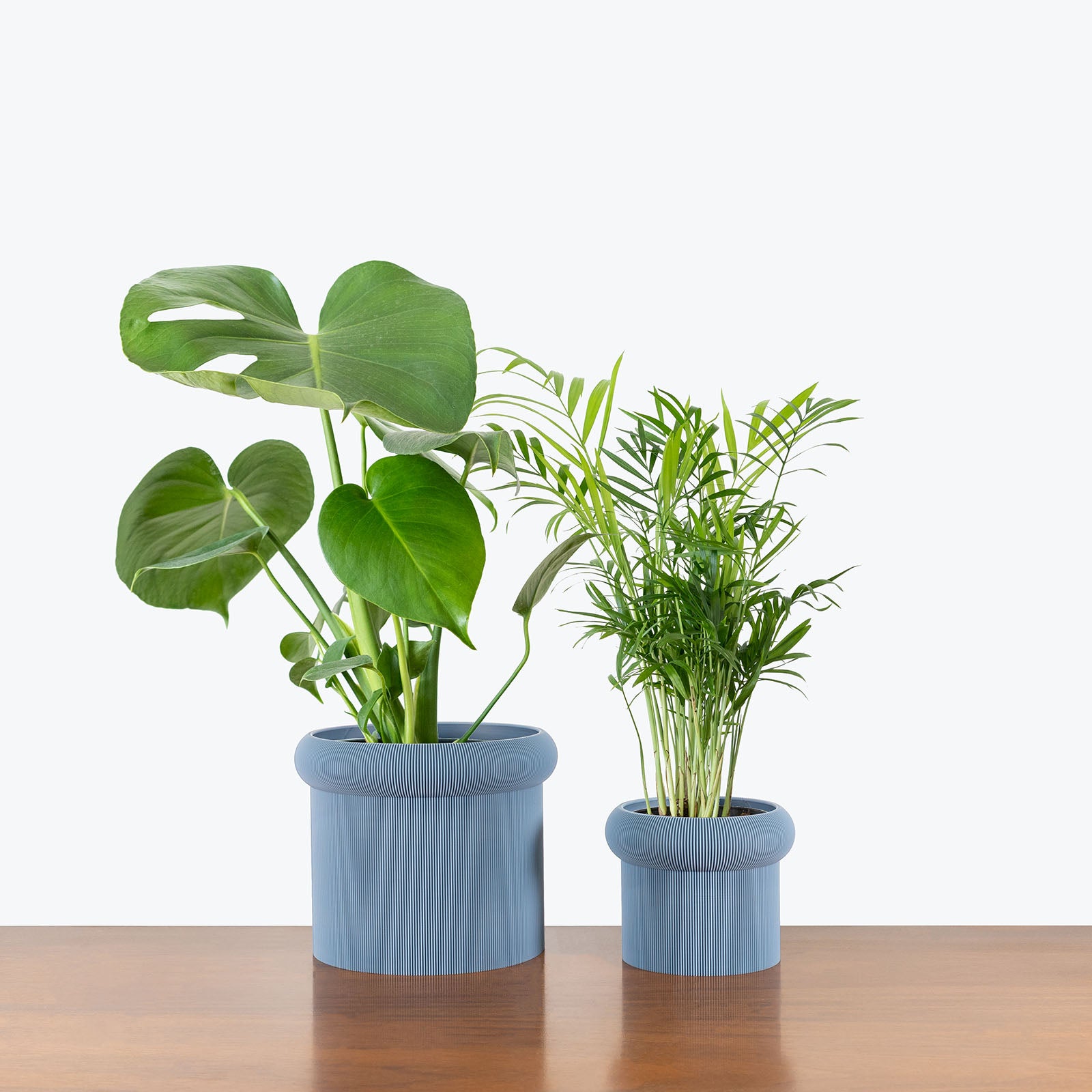 Best Selling Duo in 3D Printed Eco Friendly Mushroom Grey Planter - House Plants Delivery Toronto - JOMO Studio #planter_mushroom planter