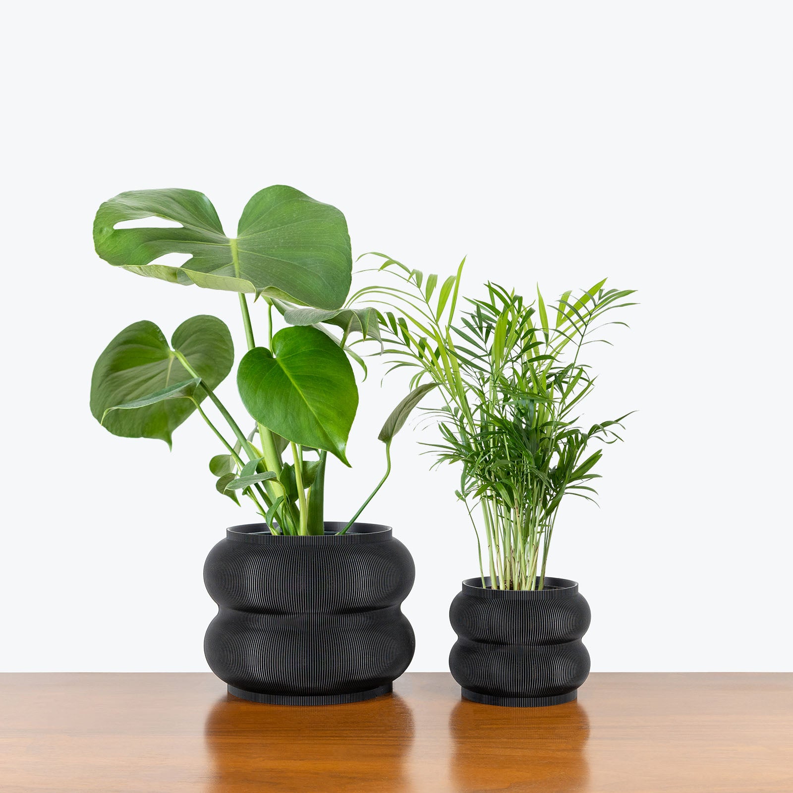 Best Selling Duo in 3D Printed Eco Friendly Peanut Black Planter - House Plants Delivery Toronto - JOMO Studio #planter_peanut planter