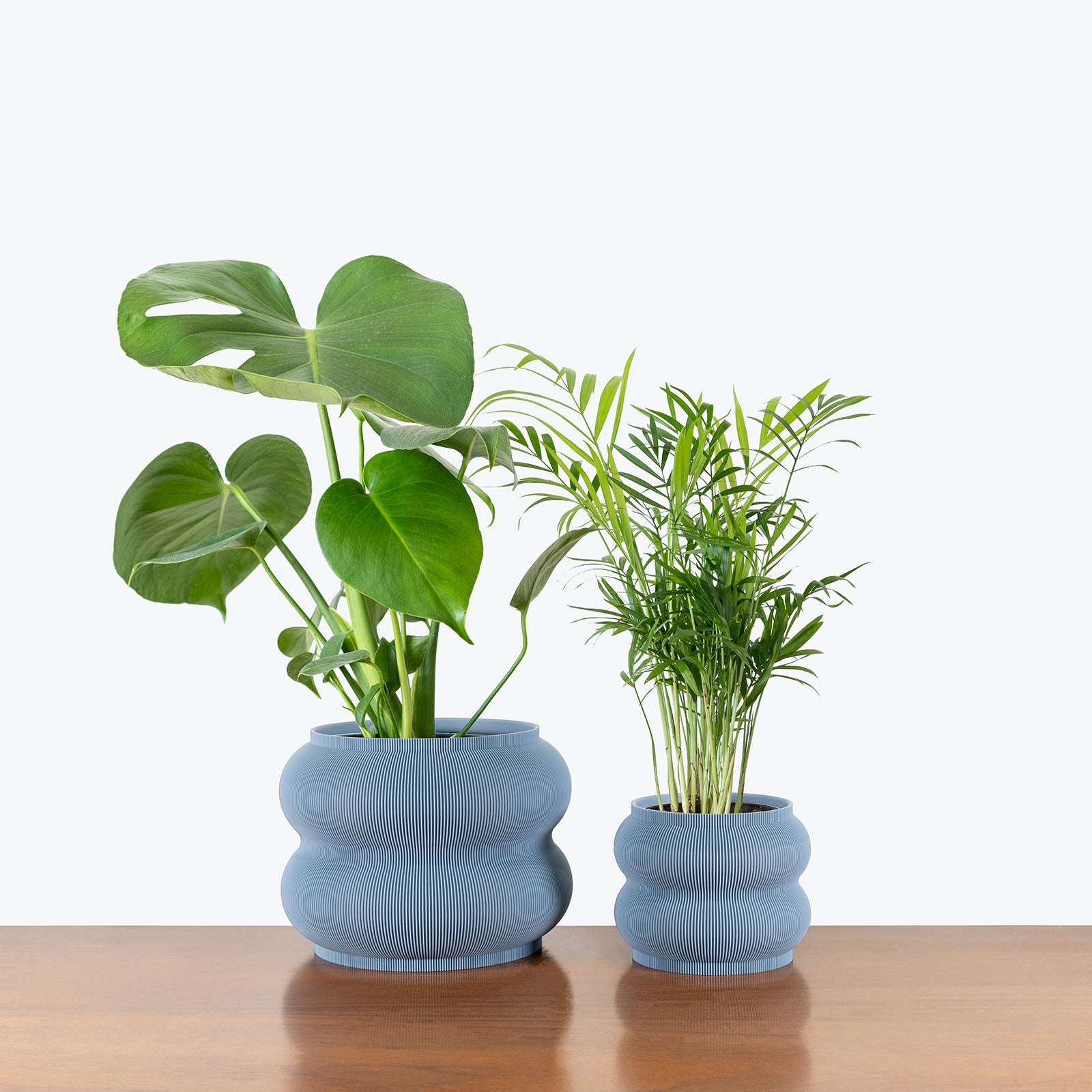 Best Selling Duo in 3D Printed Eco Friendly Peanut Grey Planter - House Plants Delivery Toronto - JOMO Studio #planter_peanut planter