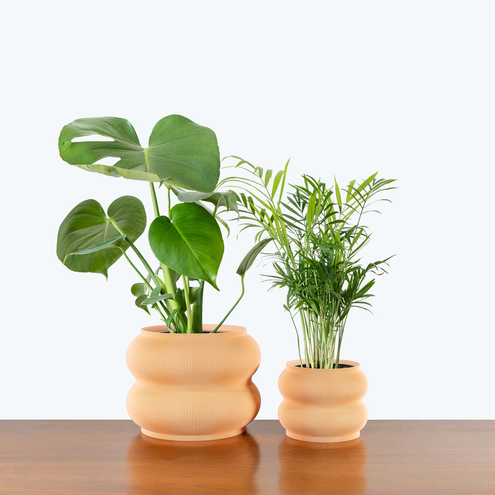 Best Selling Duo in 3D Printed Eco Friendly Peanut Peach Planter - House Plants Delivery Toronto - JOMO Studio #planter_peanut planter
