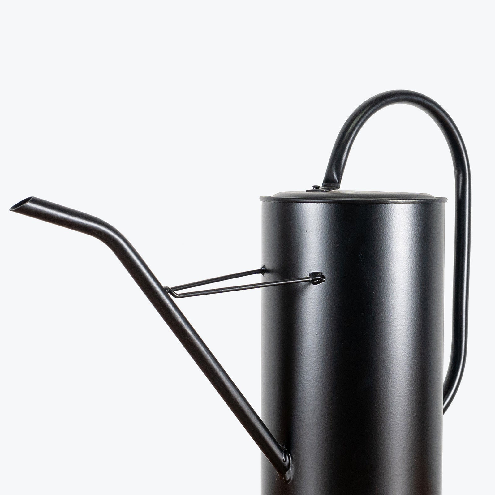 Black Watering Can - House Plants Delivery Toronto - JOMO Studio