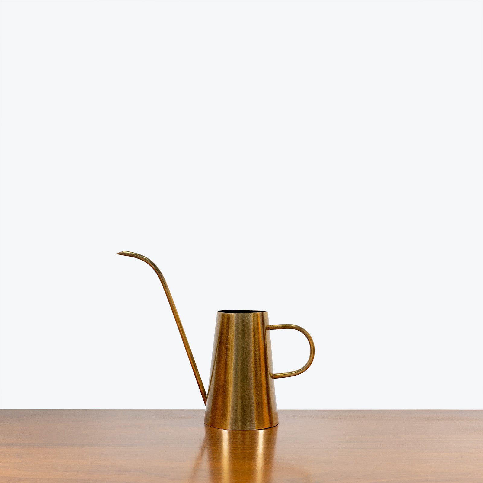 Brass Watering Can - House Plants Delivery Toronto - JOMO Studio