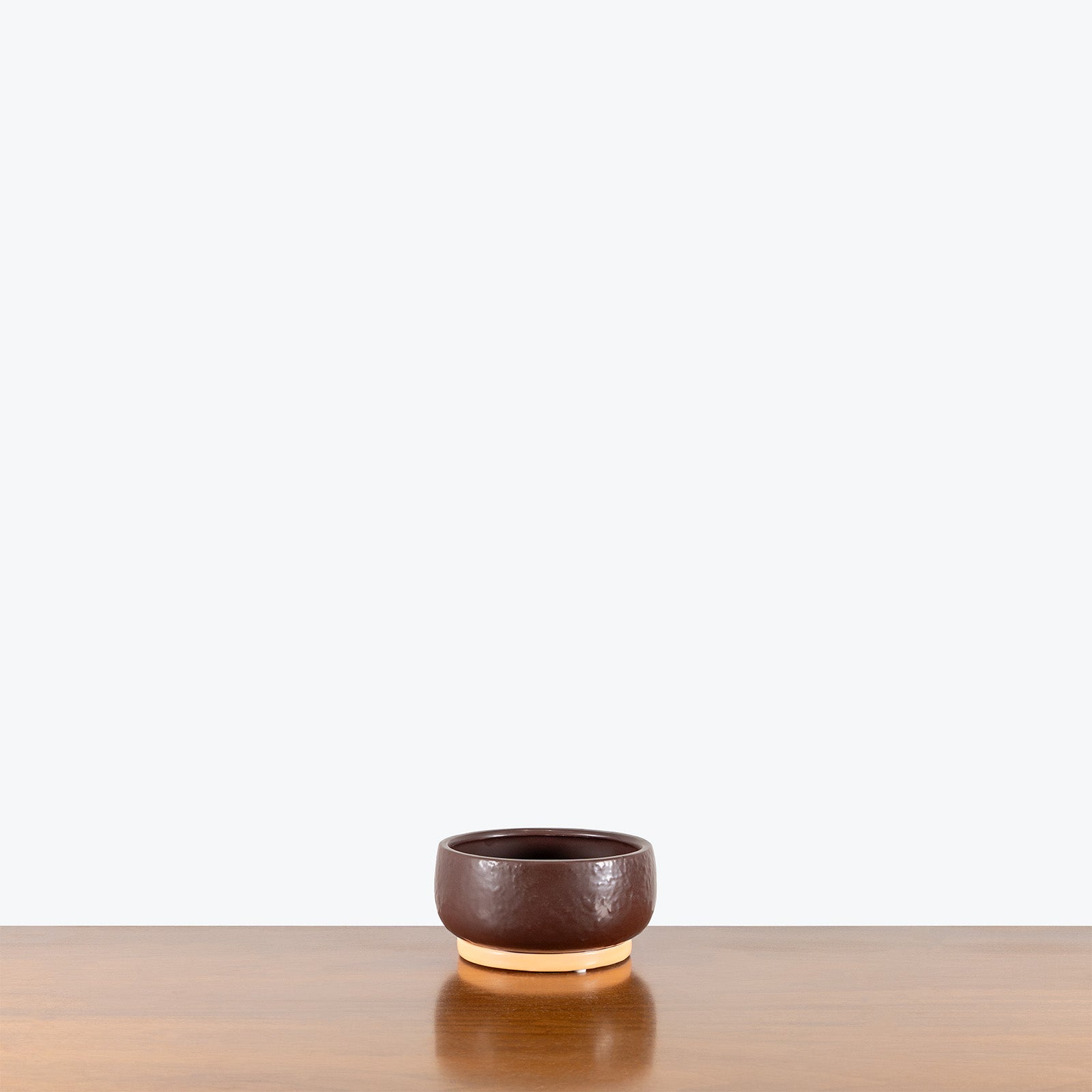 Ceramic Bonsai Planter Bowl - House Plants Delivery Toronto - JOMO Studio