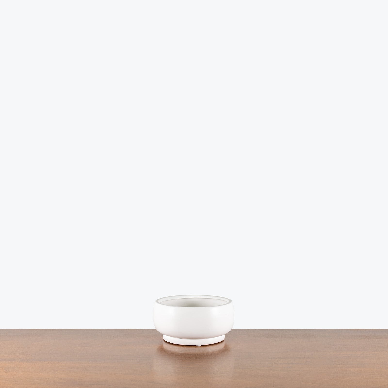 Ceramic Bonsai Planter Bowl - House Plants Delivery Toronto - JOMO Studio