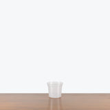 Clear Nursery Pot — 4.5"