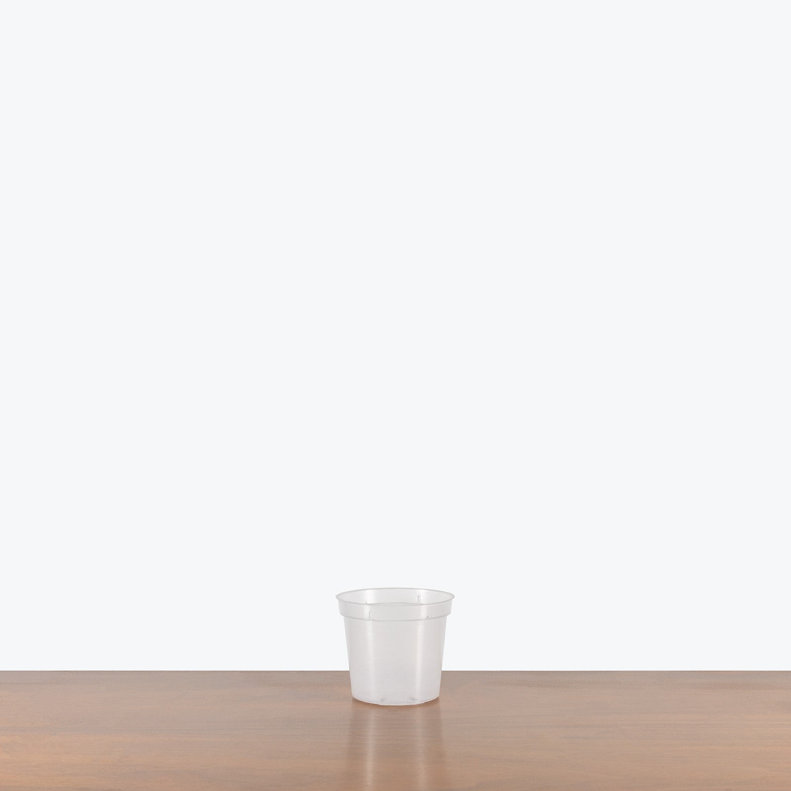 Clear Nursery Pot - House Plants Delivery Toronto - JOMO Studio
