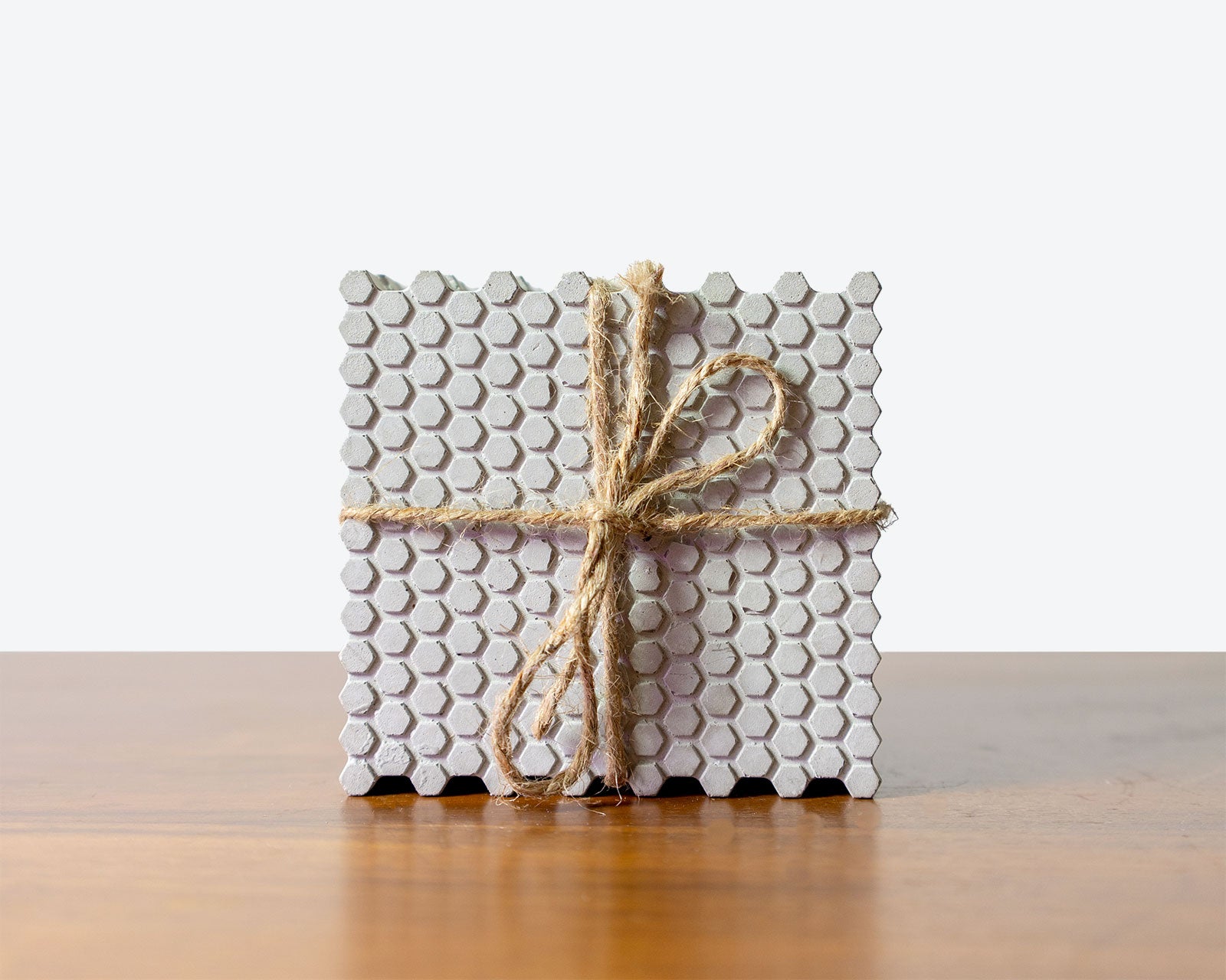 DIY Workshops and House Plants Delivery Toronto - JOMO Studio