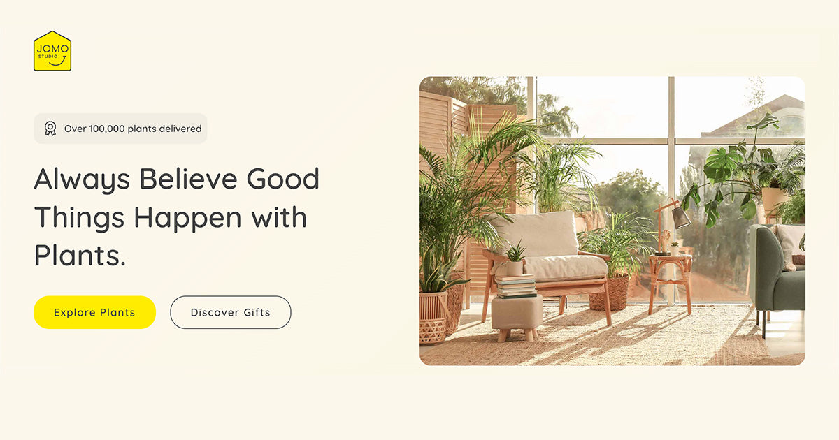 JOMO Studio | Buy Plants Online | Tropical Indoor Houseplant Delivery