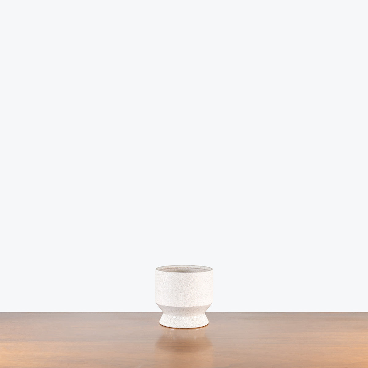 Flared Ceramic Planter - House Plants Delivery Toronto - JOMO Studio