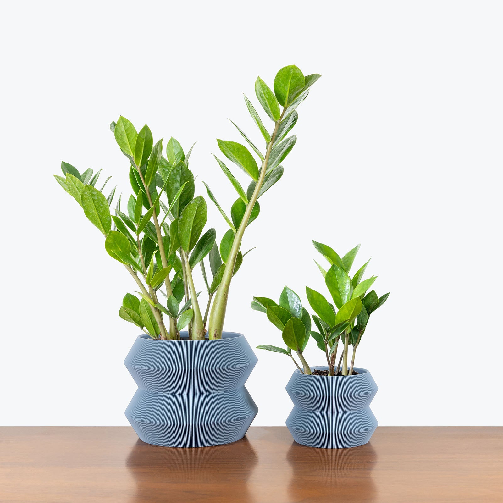 Geo Planter - 3D Printed Planter - House Plants Delivery Toronto - JOMO Studio #color_grey