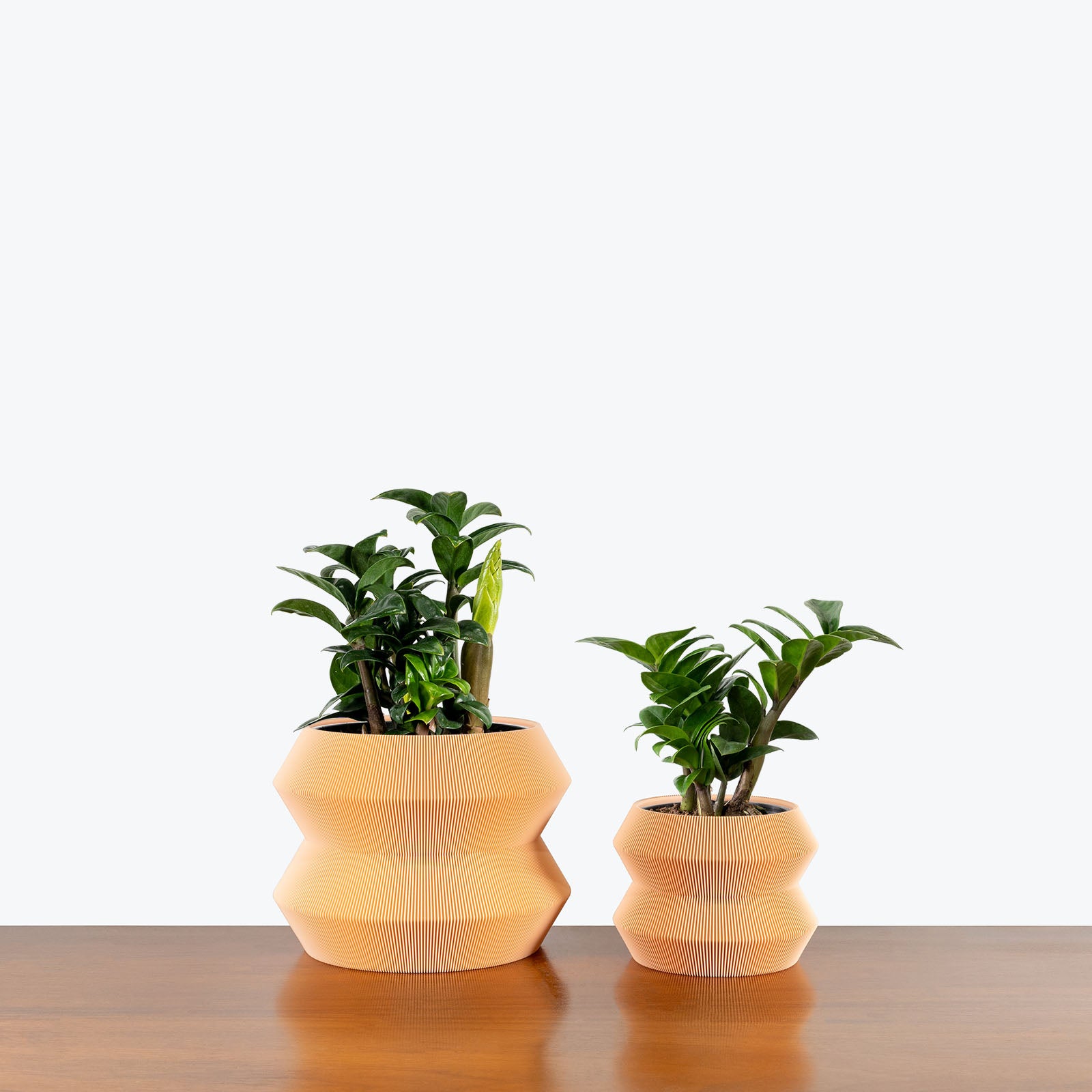 Geo Planter - 3D Printed Planter - House Plants Delivery Toronto - JOMO Studio #color_peach