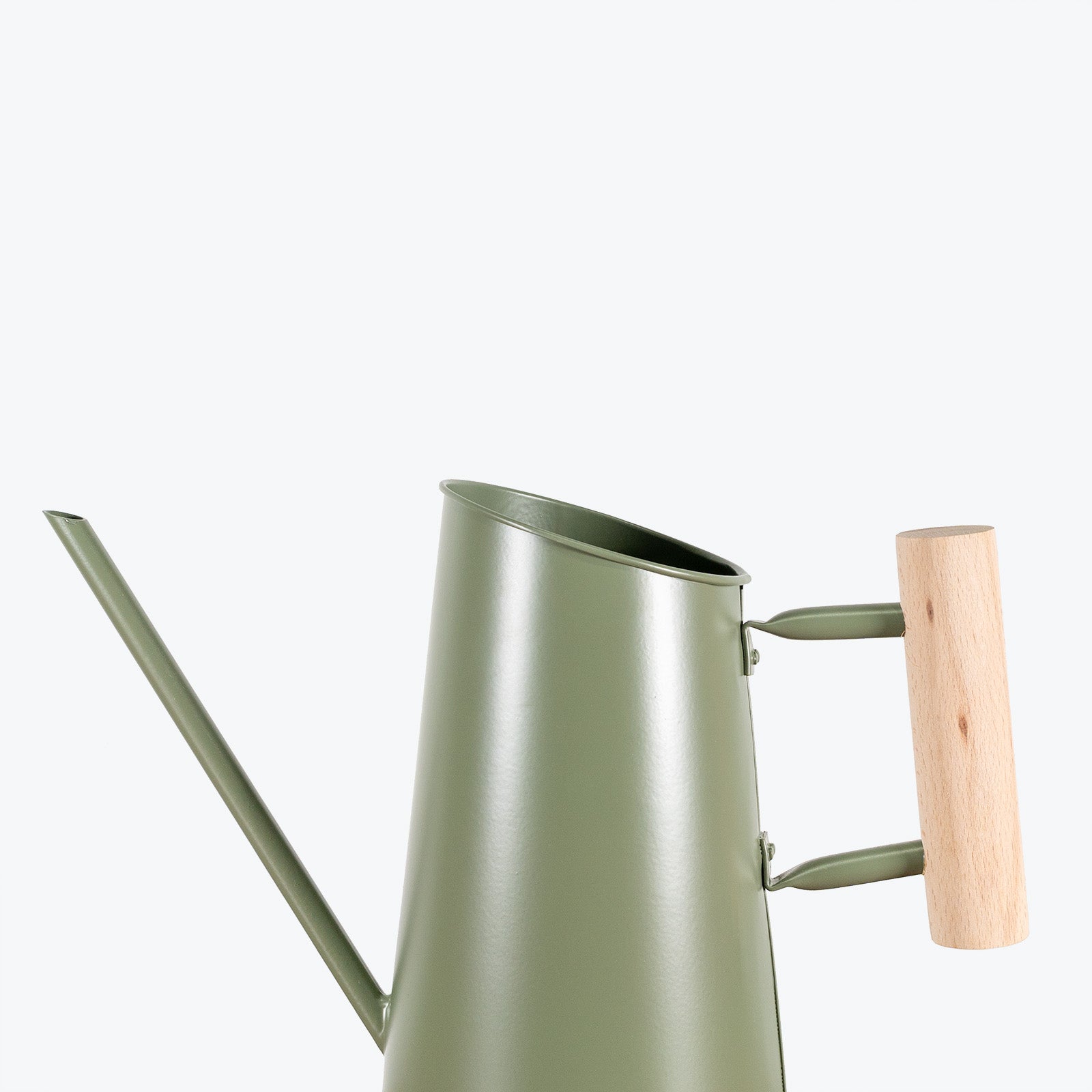 Green Watering Can - House Plants Delivery Toronto - JOMO Studio