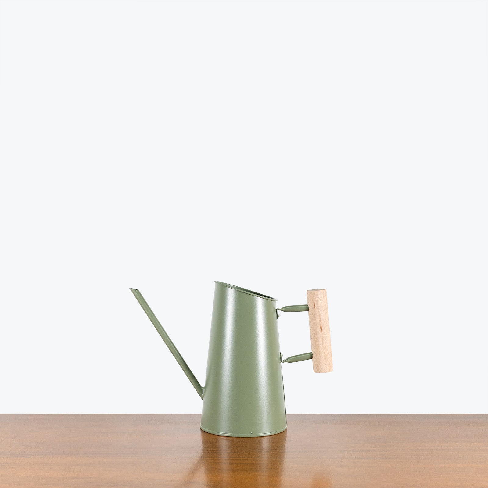 Green Watering Can - House Plants Delivery Toronto - JOMO Studio