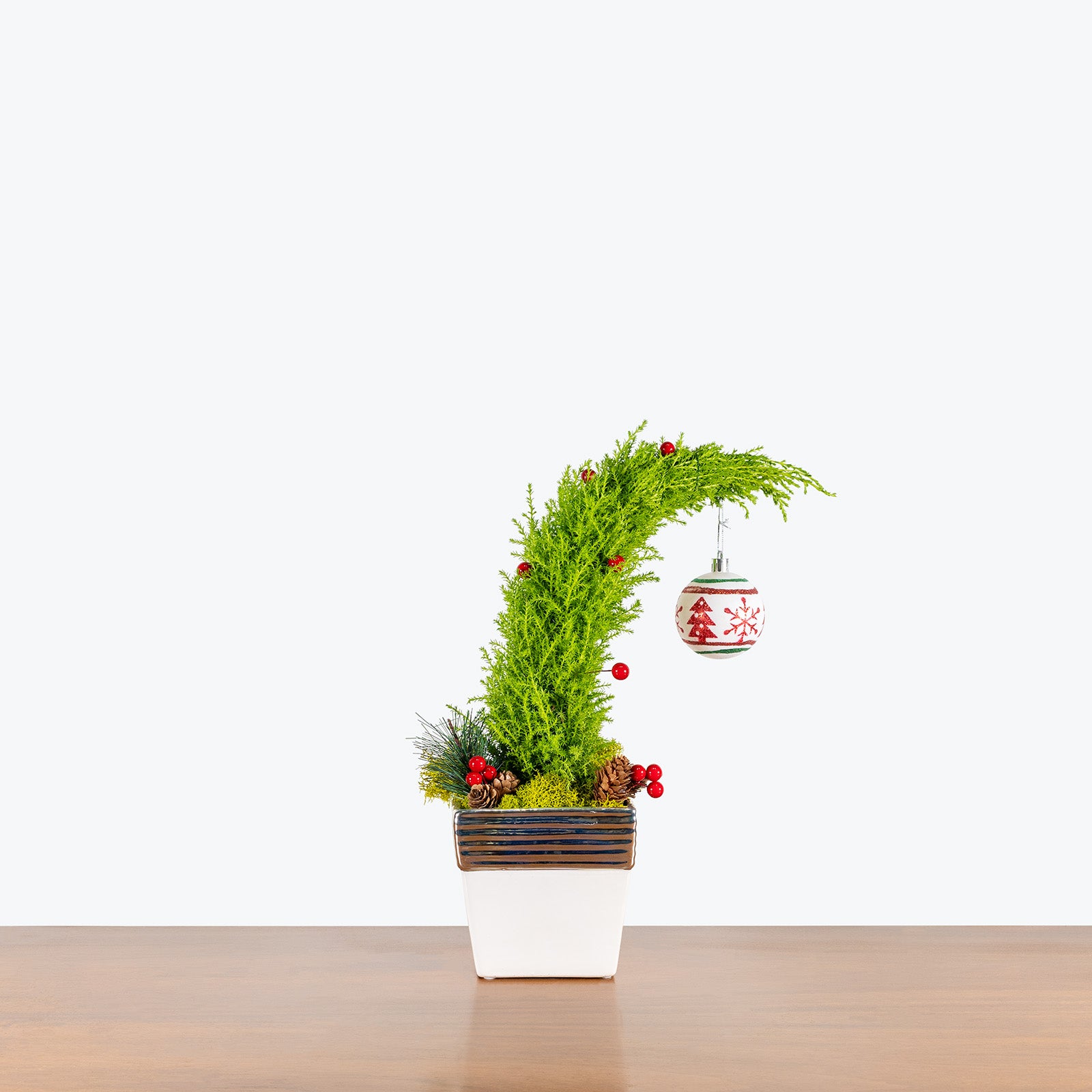 Grinchmas Tree | Care Guide and Pro Tips - Delivery from Toronto across Canada - JOMO Studio