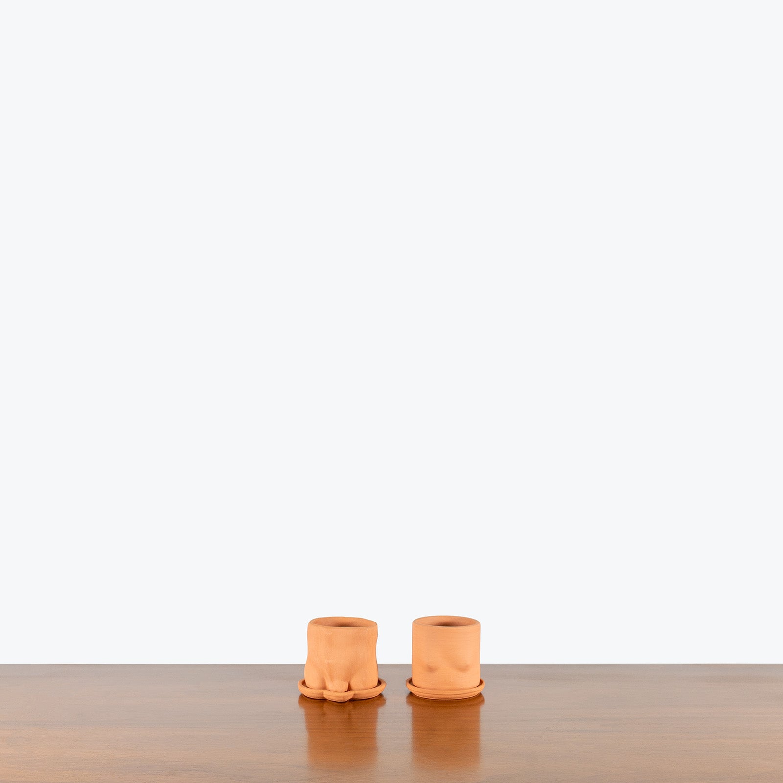 Group Partner Planter - House Plants Delivery Toronto - JOMO Studio