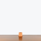 Group Partner Planter — Terracotta Top / XSmall - Fit 2.5" pot