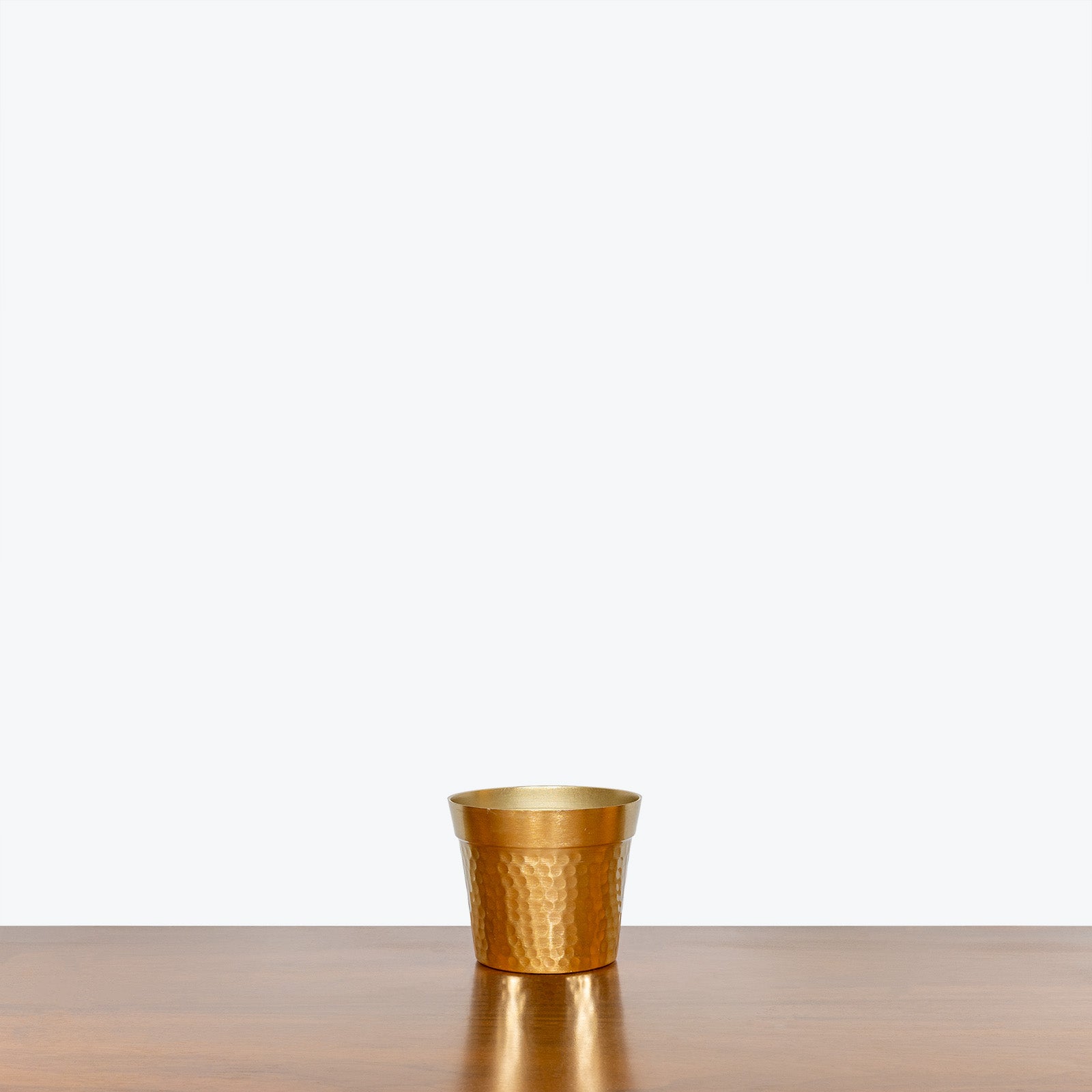 Hammered Gold Planter - House Plants Delivery Toronto - JOMO Studio