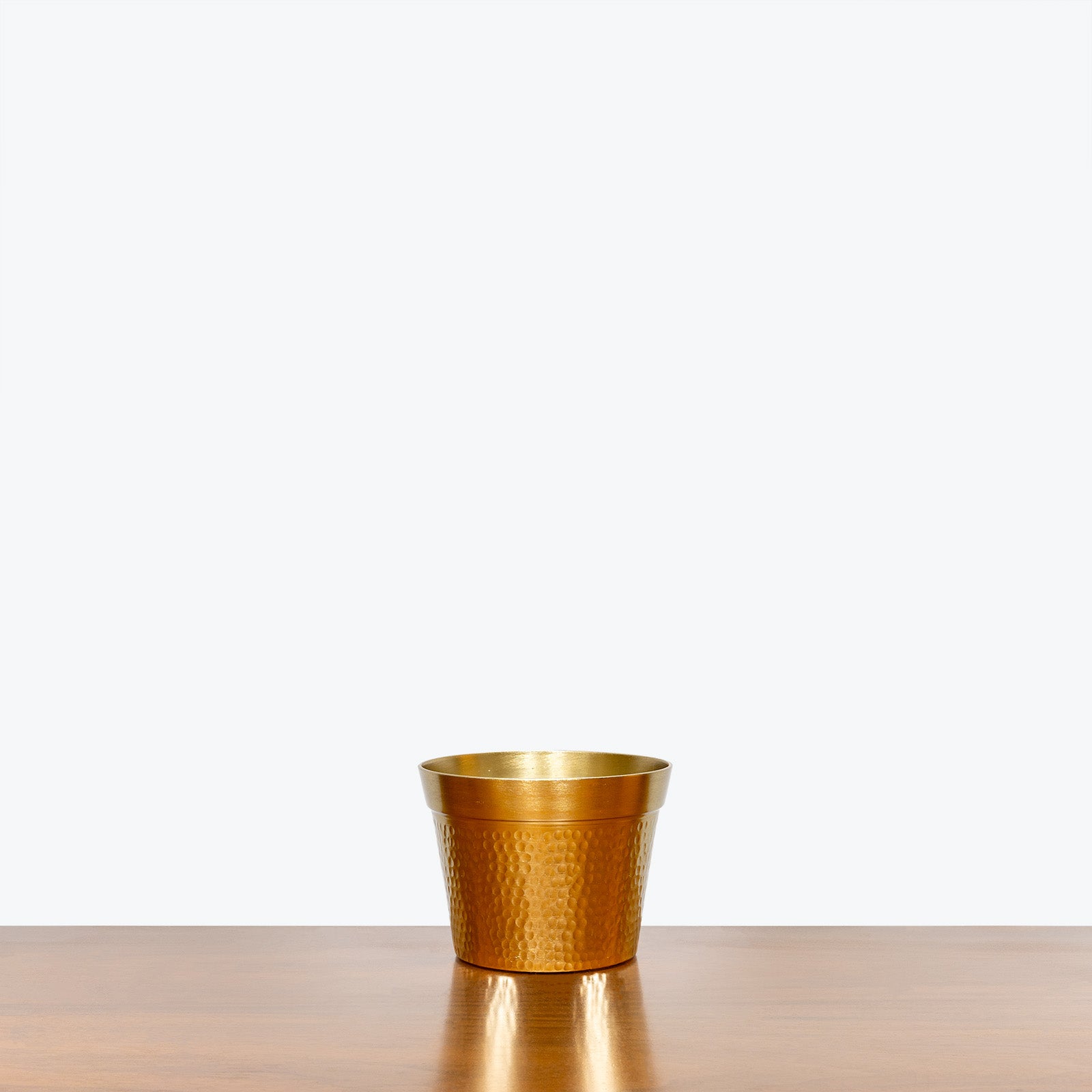 Hammered Gold Planter - House Plants Delivery Toronto - JOMO Studio