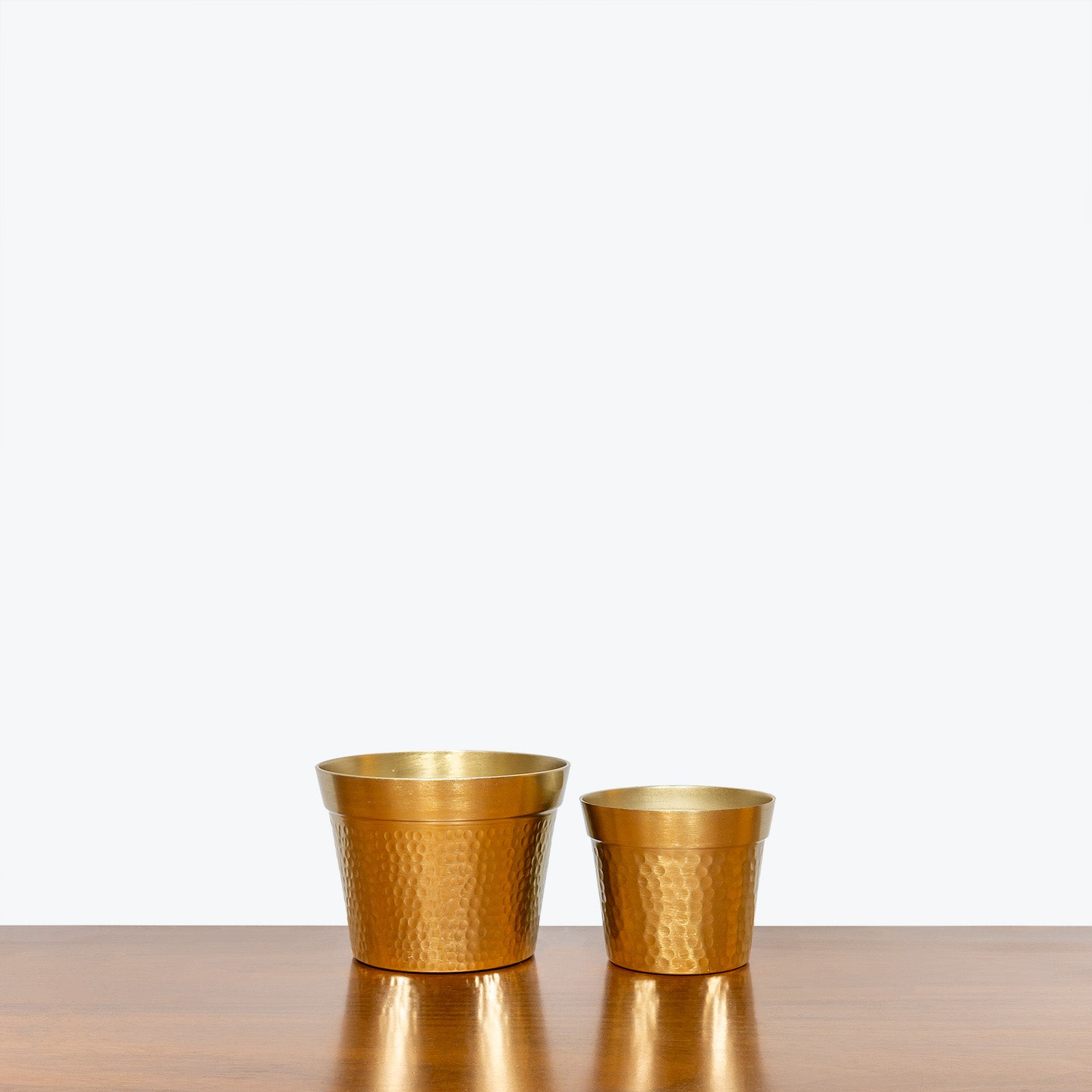 Hammered Gold Planter - House Plants Delivery Toronto - JOMO Studio