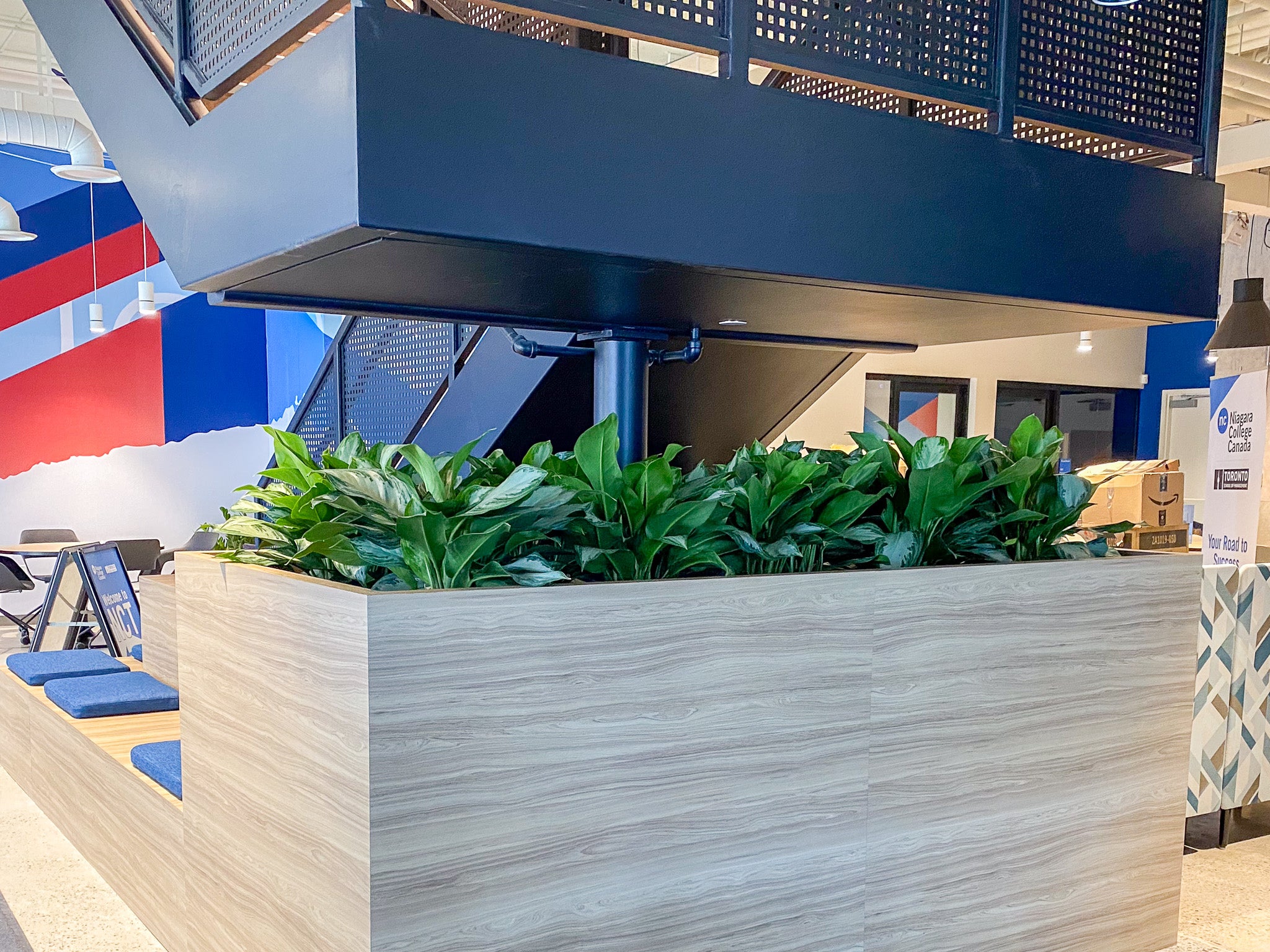 3 Story College Campus | Toronto Office Plants | Design Consultation Installation | JOMO Studio