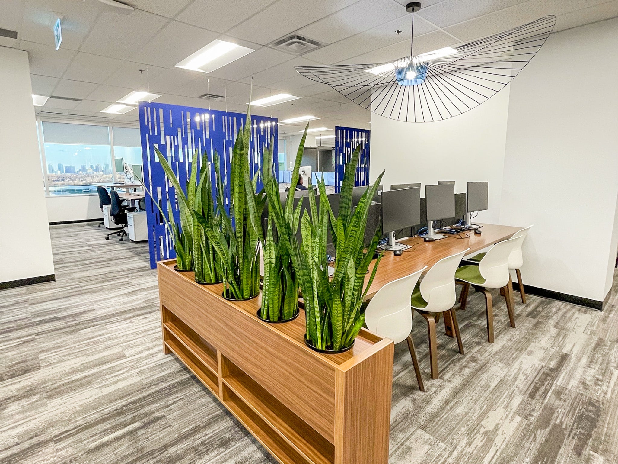 Toronto Office Plants | Design Consultation Installation | JOMO Studio