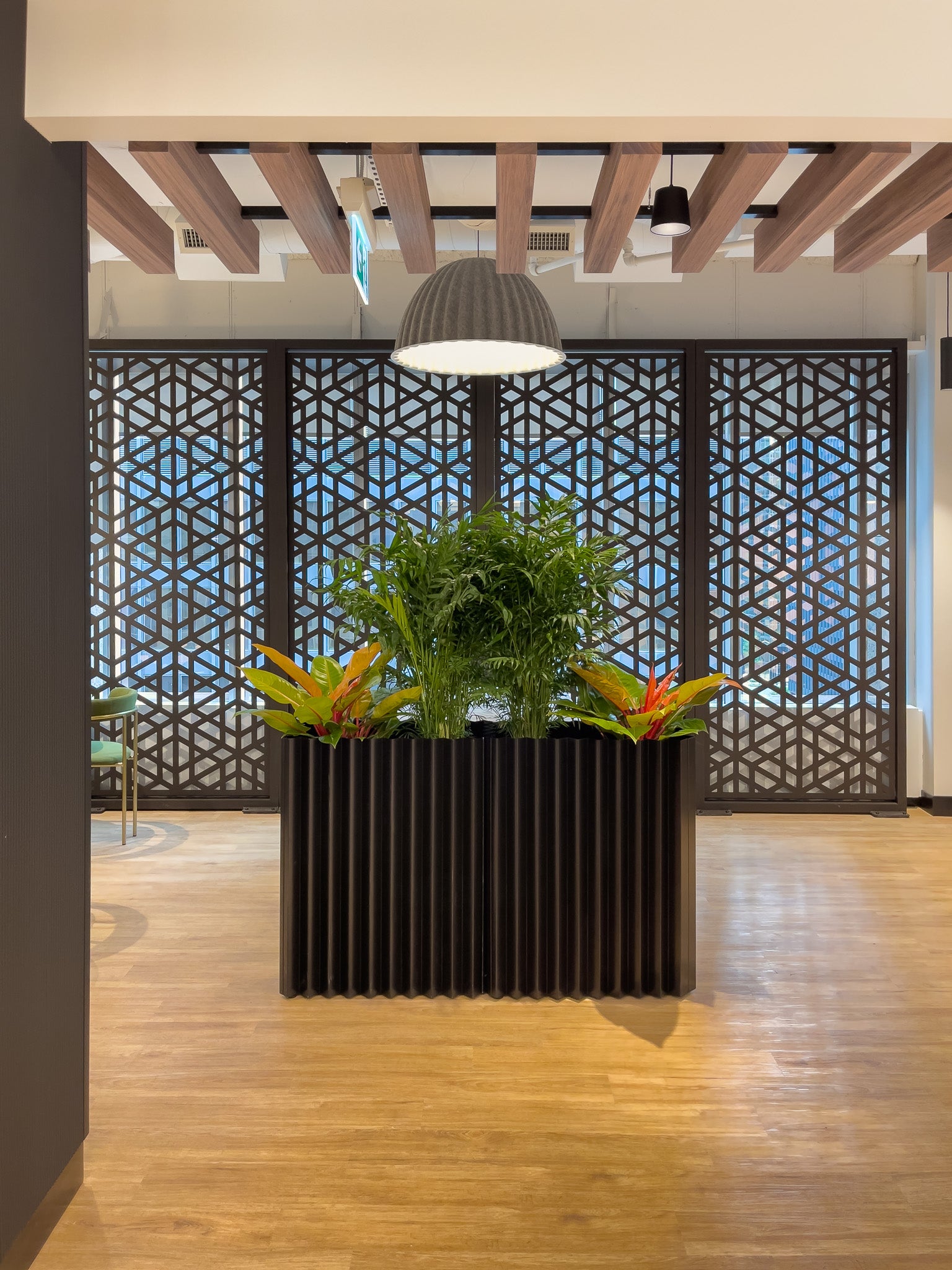Seasonal Office Foyer | Toronto Office Plants | Design Consultation Installation | JOMO Studio