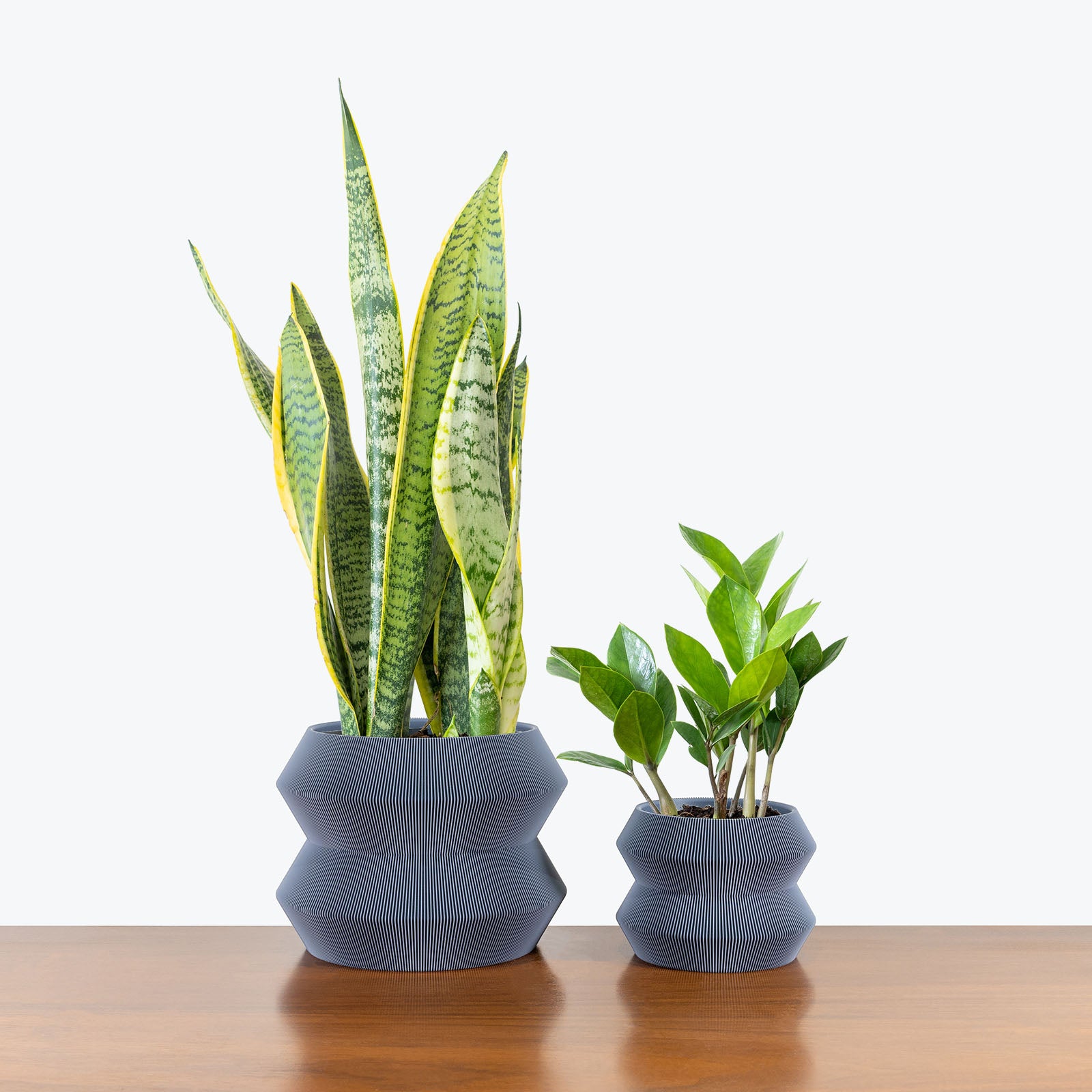 Low Light Duo in 3D Printed Eco Friendly Geo Planter - House Plants Delivery Toronto - JOMO Studio #planter_geo planter