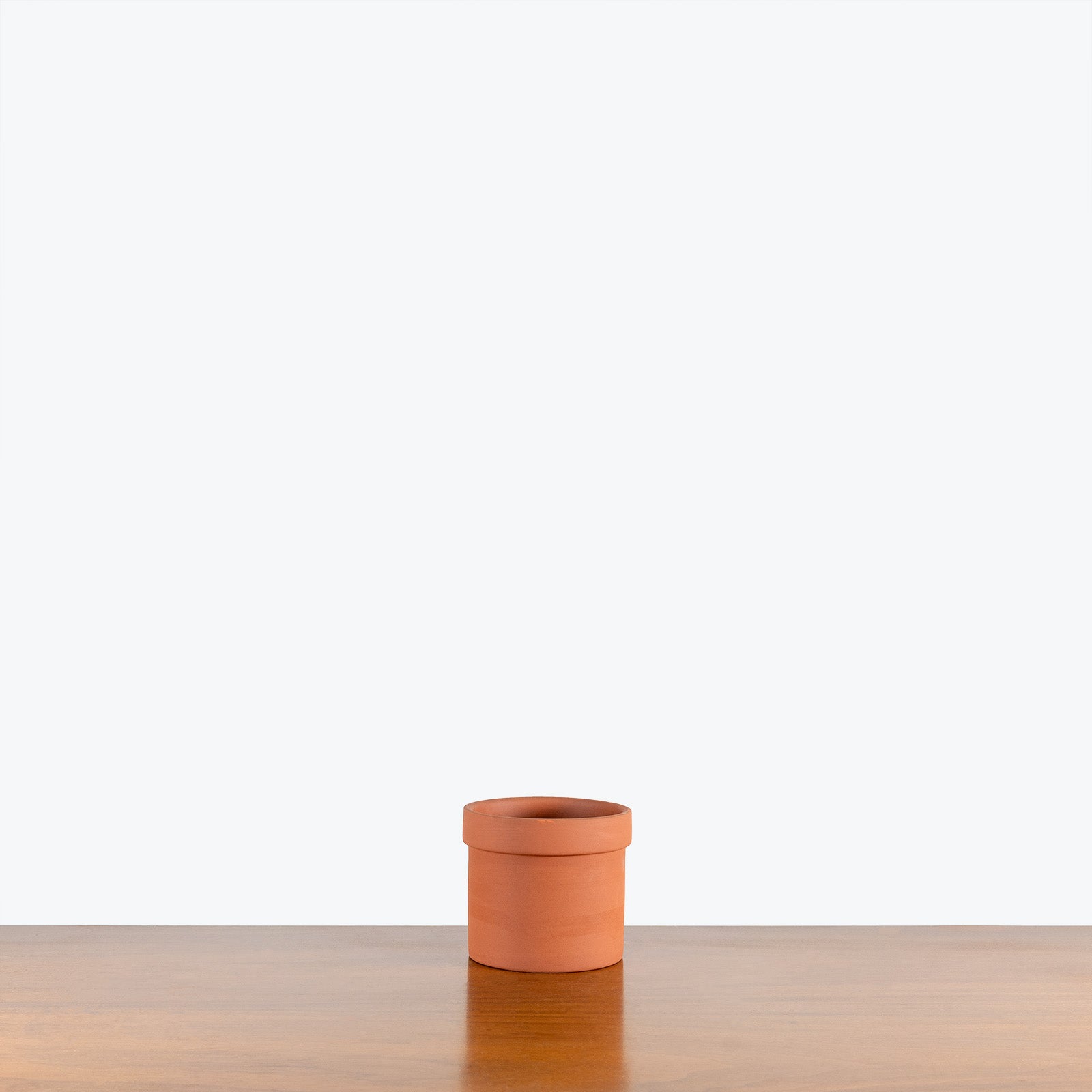 Mario Planter - House Plants Delivery Toronto - JOMO Studio