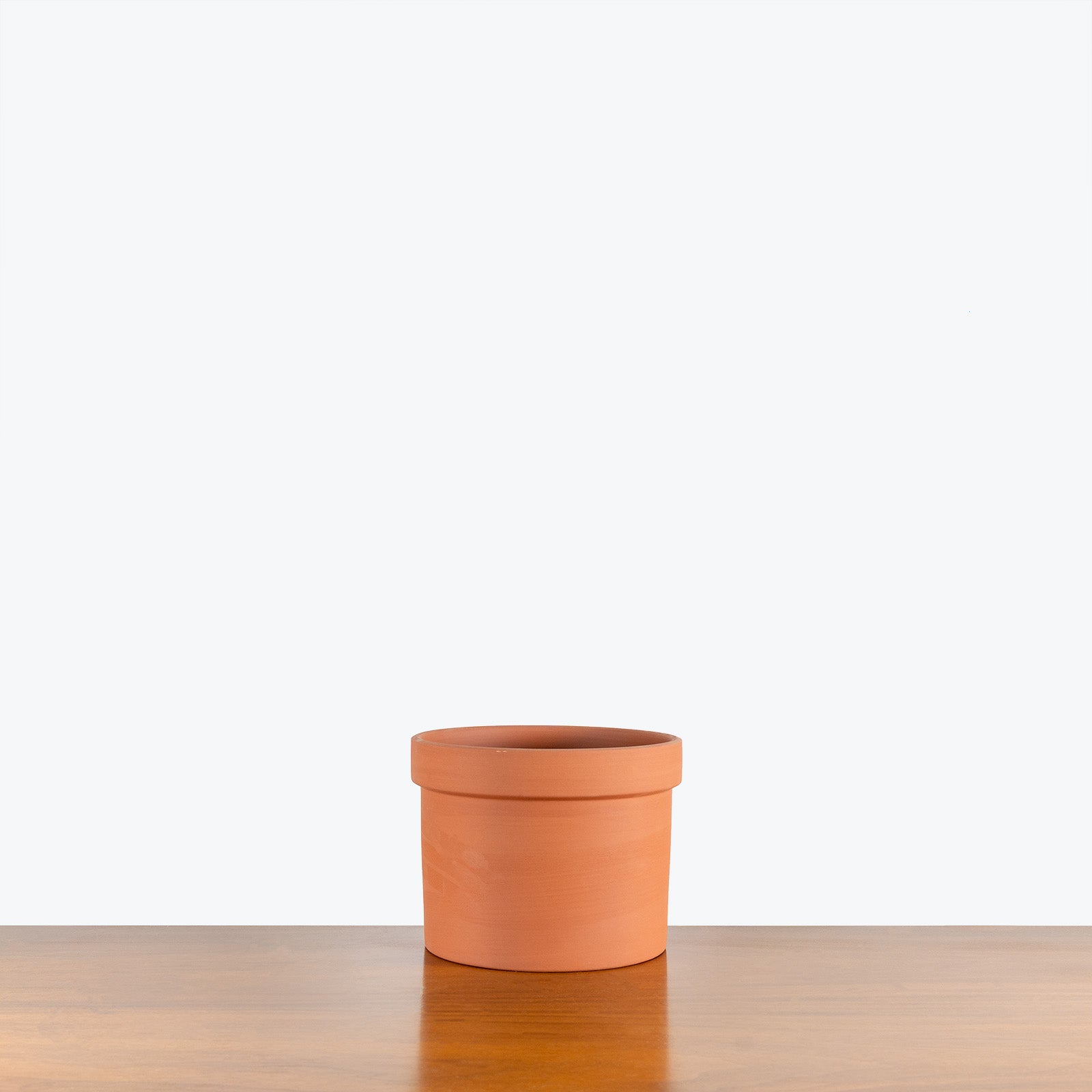 Mario Planter - House Plants Delivery Toronto - JOMO Studio