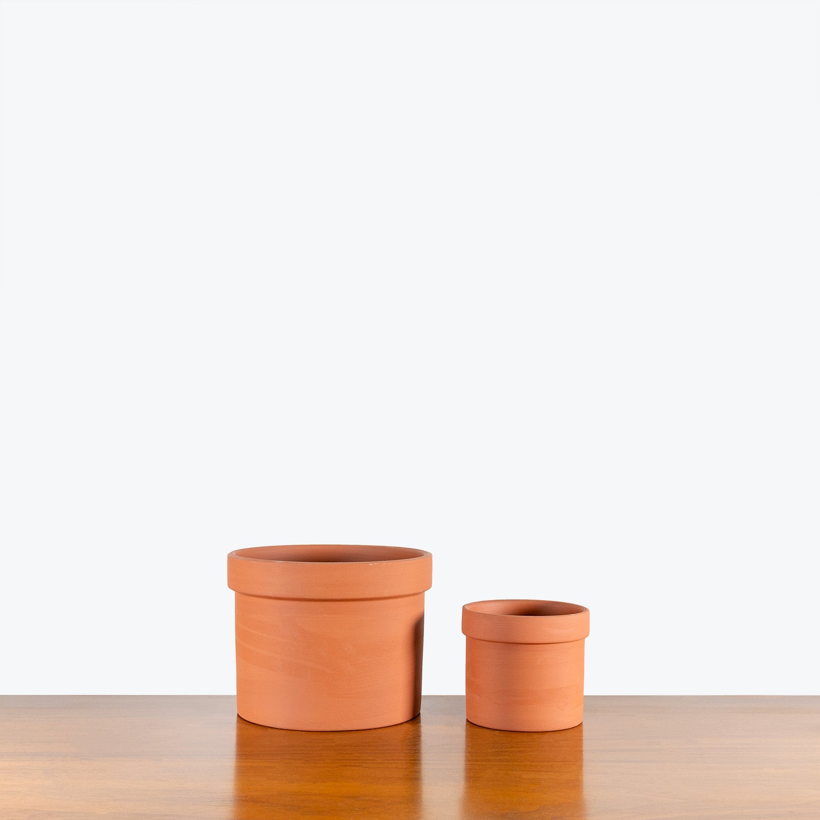 Mario Planter - House Plants Delivery Toronto - JOMO Studio