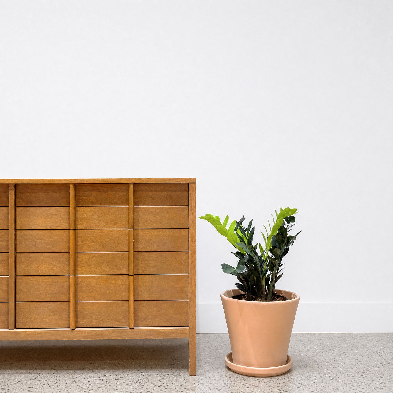 Modern Clay Planter - House Plants Delivery Toronto - JOMO Studio