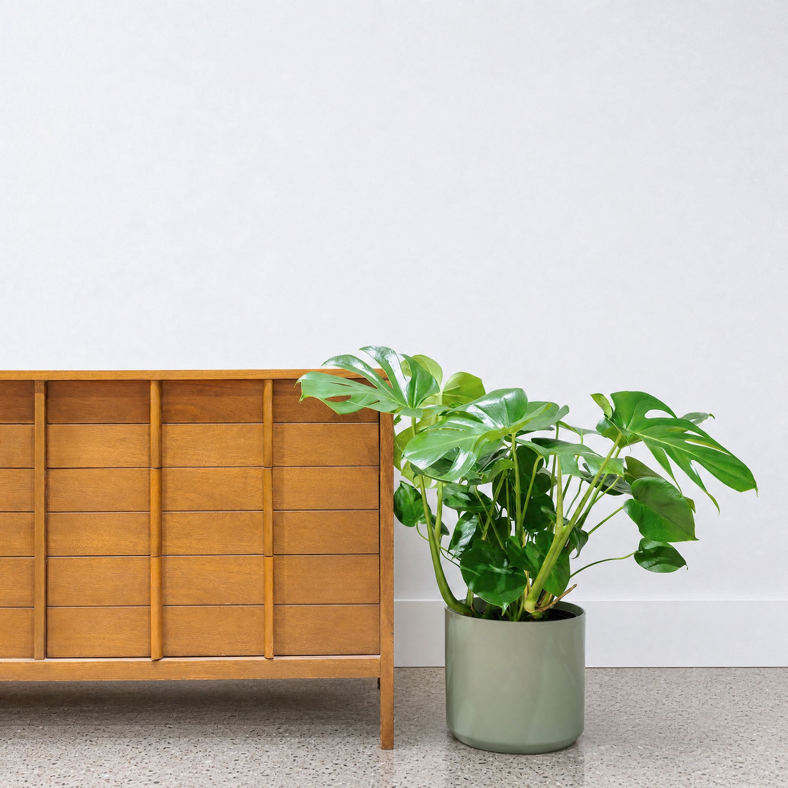 Modern Green Ceramic Planter - House Plants Delivery Toronto - JOMO Studio