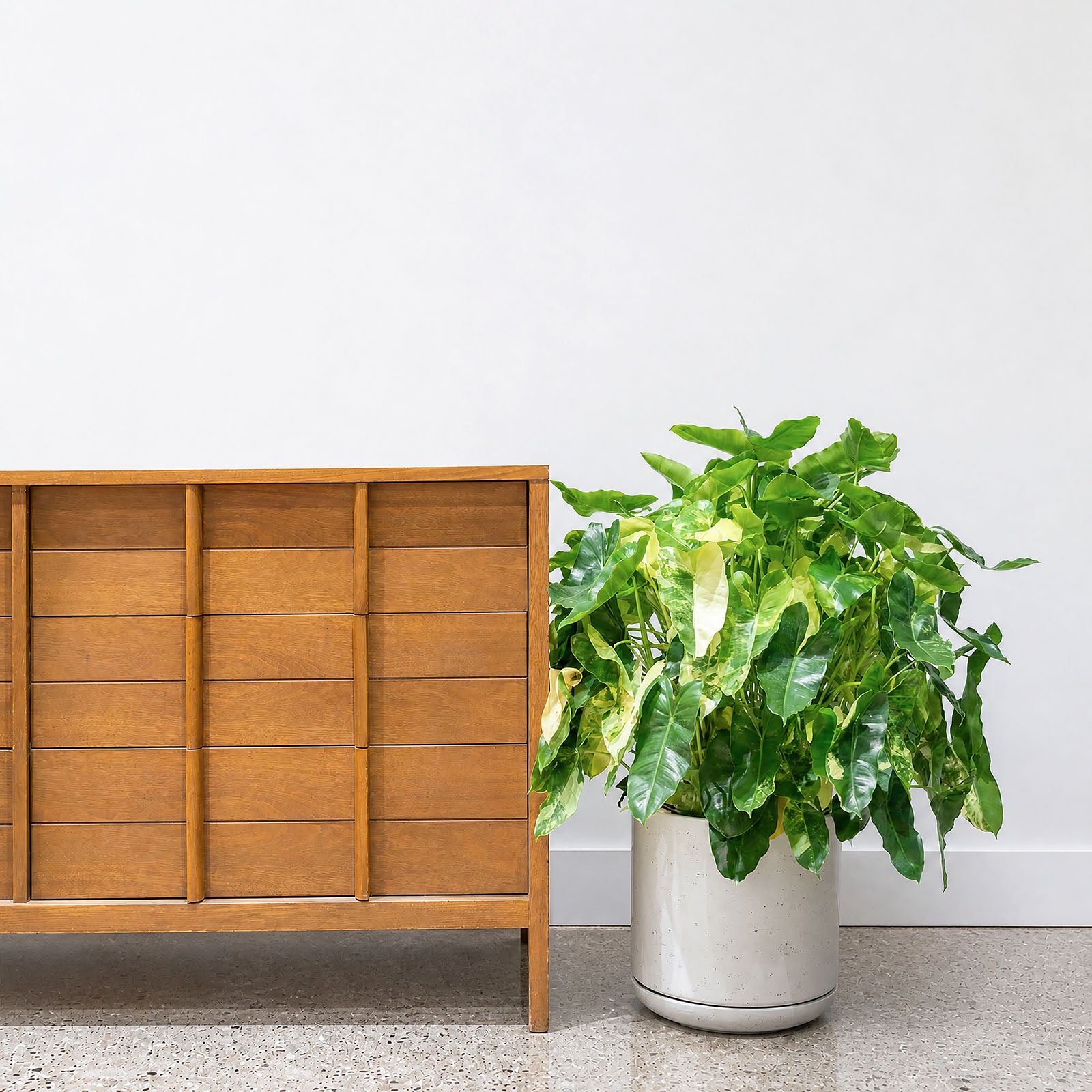 Modern Terrazzo Planter