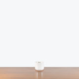 Modern White Ceramic Planter — X Small - Fit 2.5" Pot