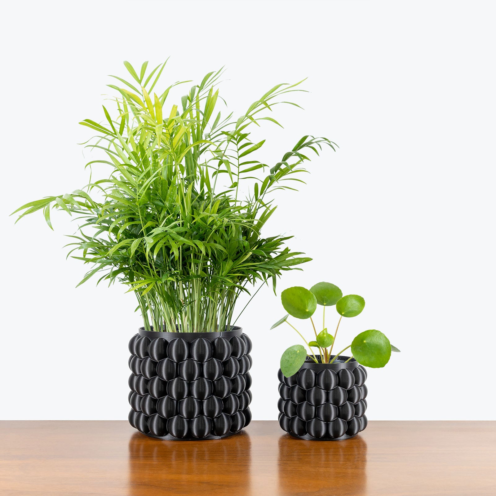 Pet Friendly Duo in 3D Printed Eco Friendly Bubble Black Planter - House Plants Delivery Toronto - JOMO Studio #planter_bubble planter