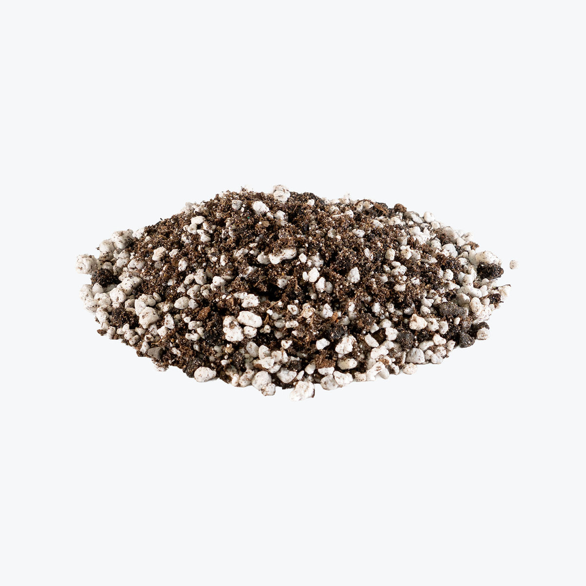 Pinguicula Mix | Pinguicula Butterwort Grow Medium - Delivery from Toronto across Canada - JOMO Studio