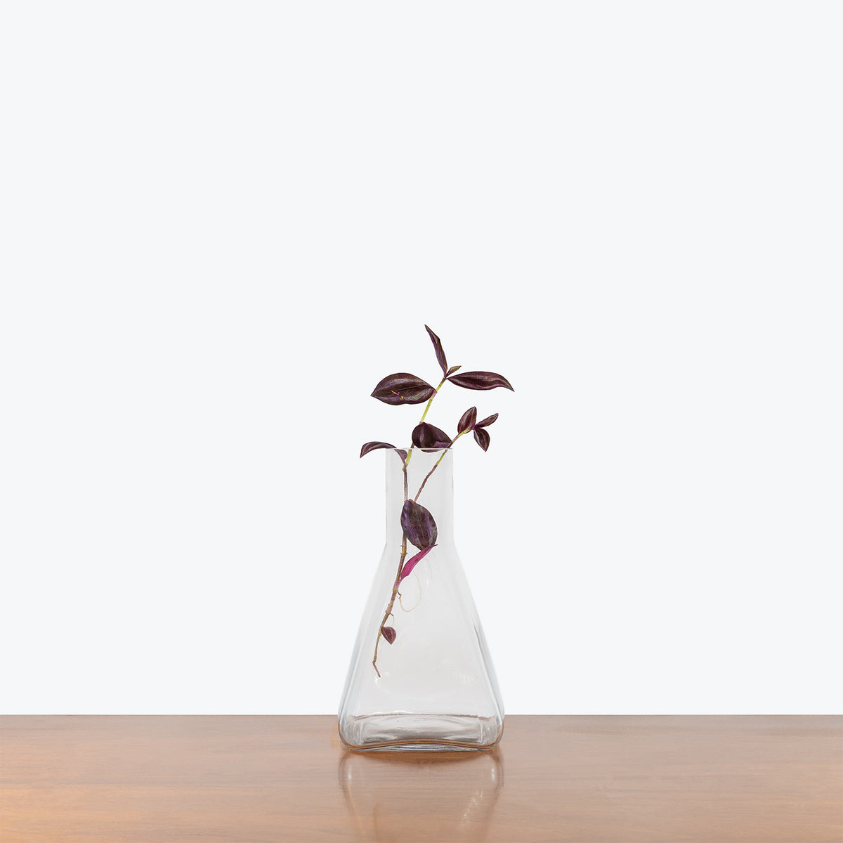 Prism Propagation Vase - House Plants Delivery Toronto - JOMO Studio