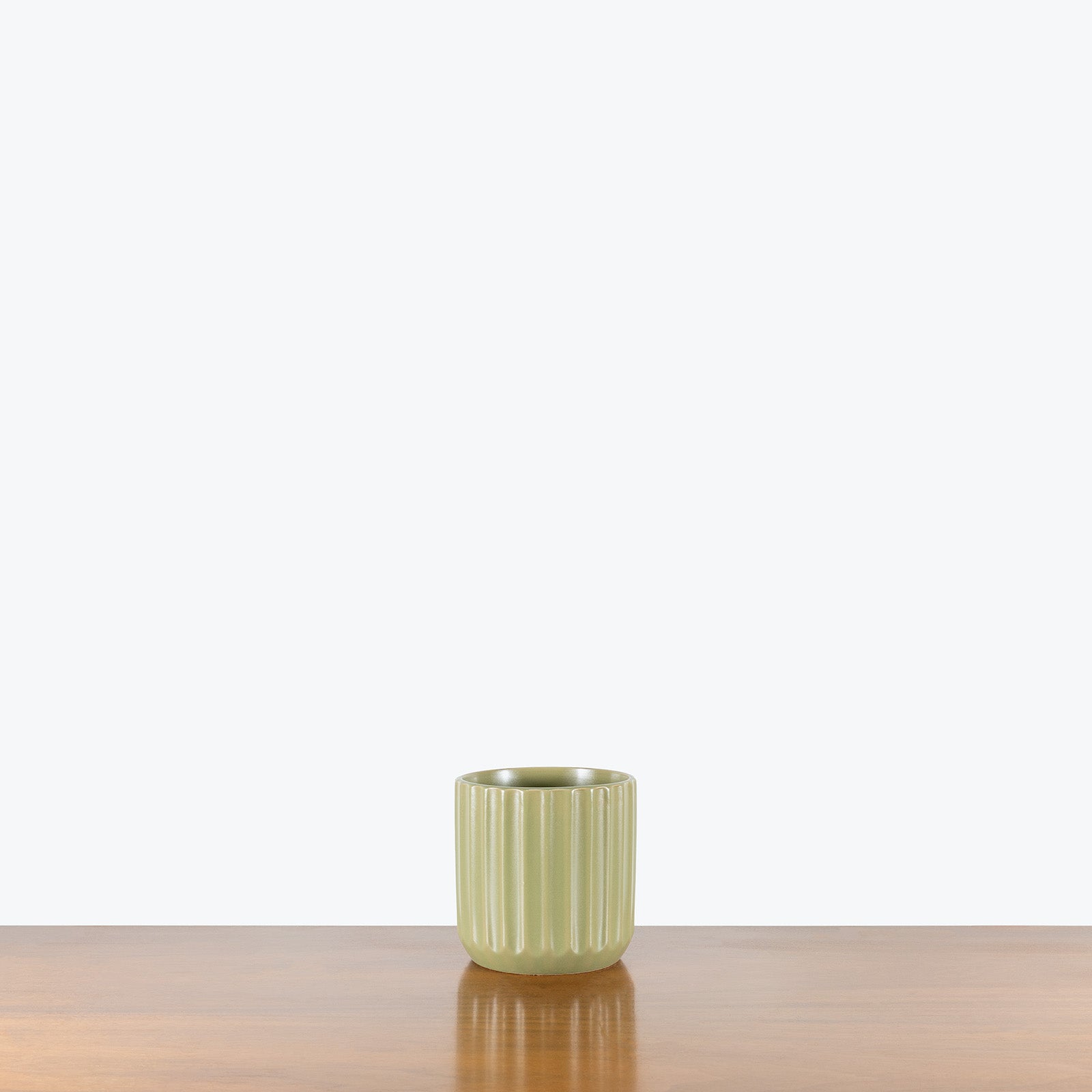 Ribbed Ceramic Planter - House Plants Delivery Toronto - JOMO Studio #color_matcha green