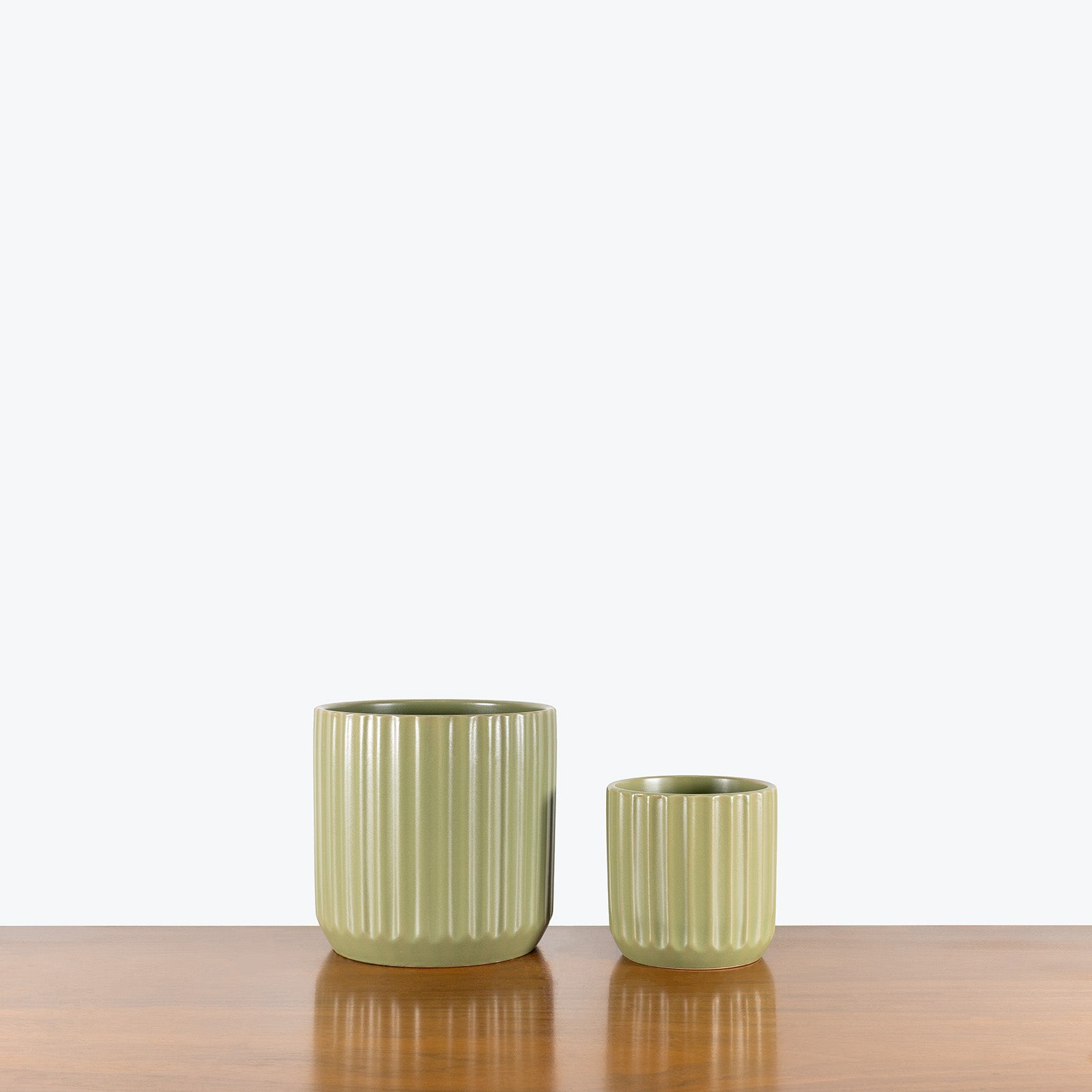 Ribbed Ceramic Planter - House Plants Delivery Toronto - JOMO Studio #color_matcha green