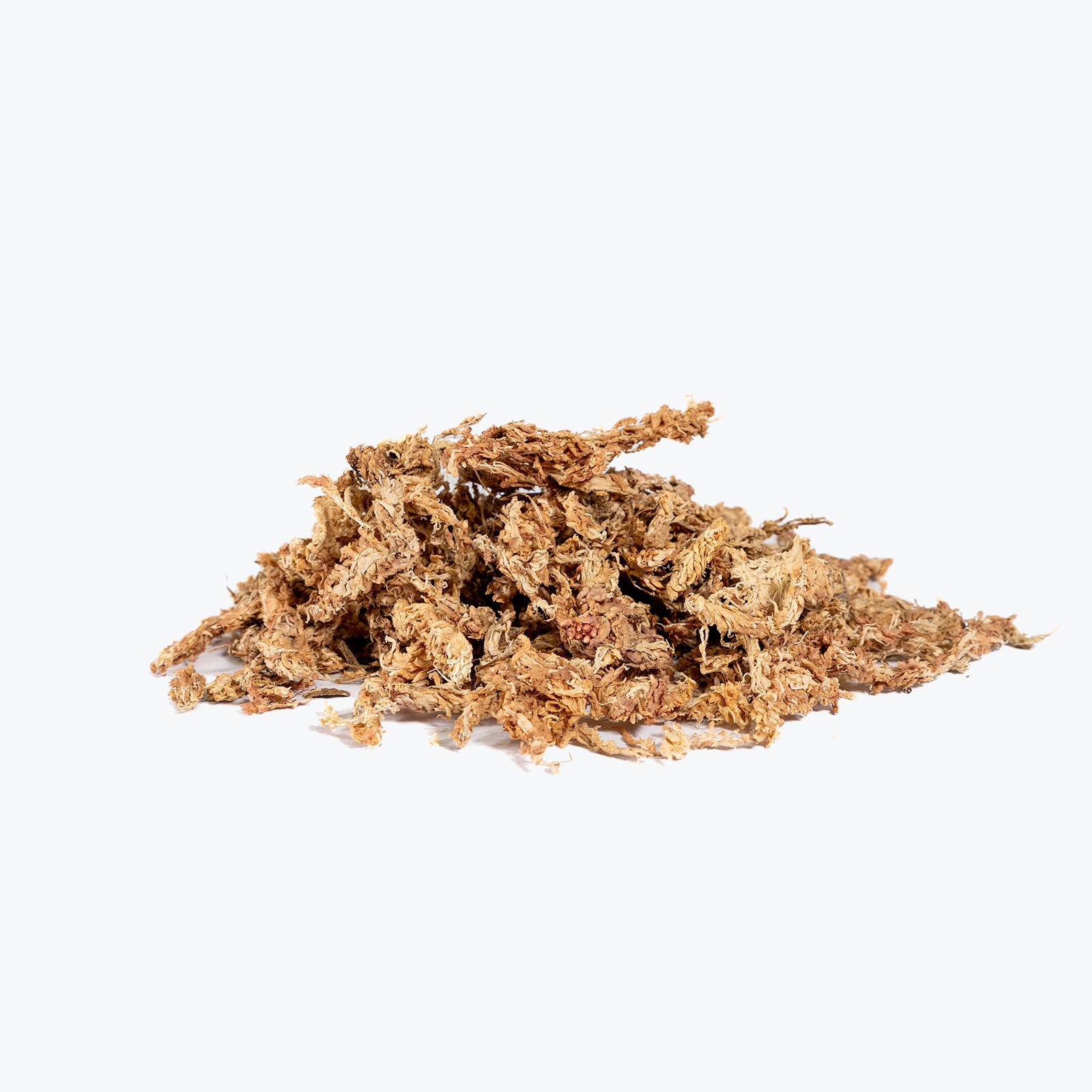 Sphagnum Moss | House Plant Grow Medium - Delivery from Toronto across Canada - JOMO Studio