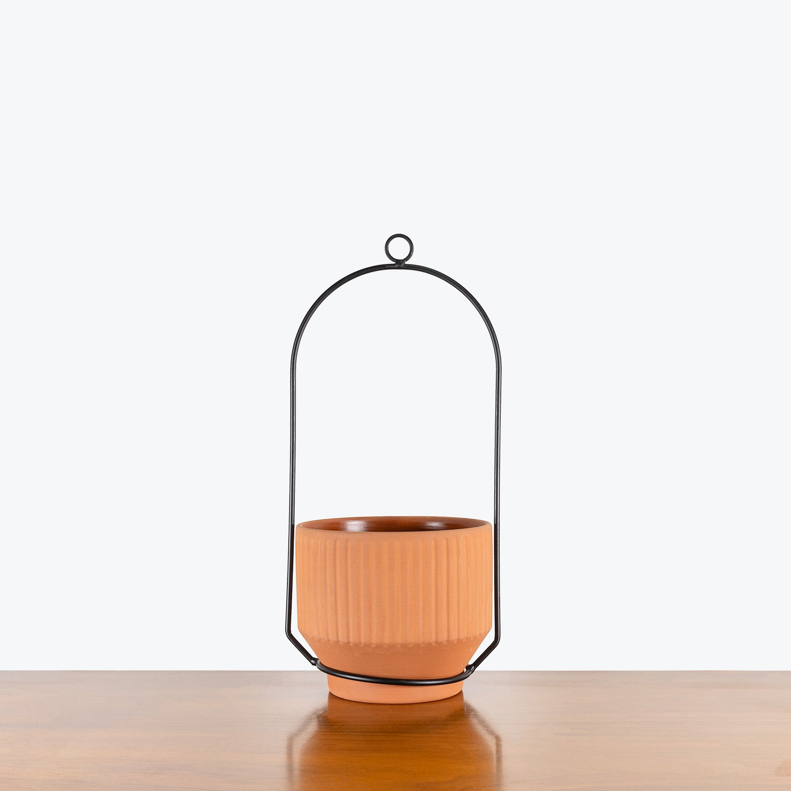 Terra Hanging Planter - House Plants Delivery Toronto - JOMO Studio