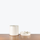 Waveform Ceramic Planter — Matte White / Medium - Fit 6"-7" Pot
