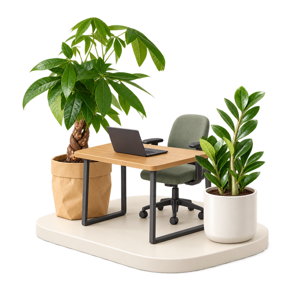 Miniature office with an oak desk, sage chair, Money Tree and ZZ plant.