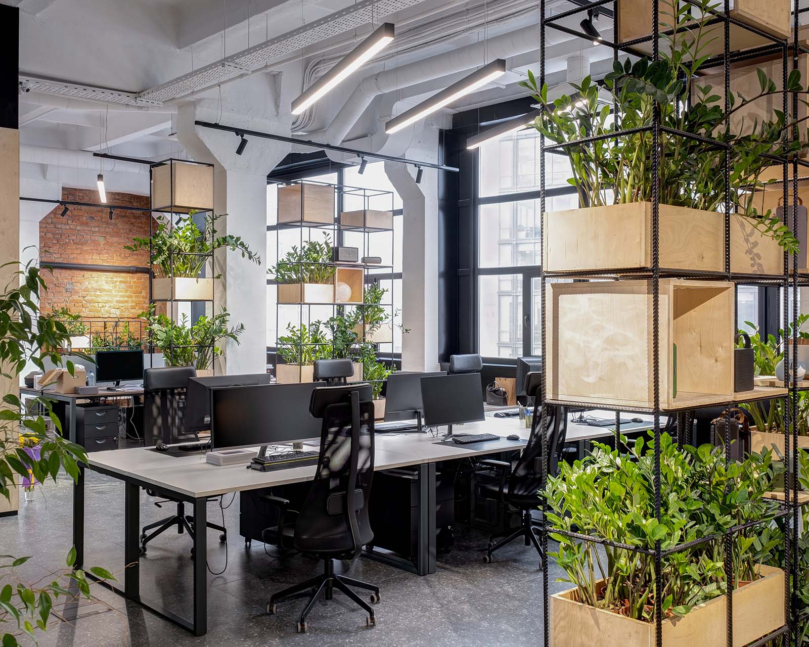 Toronto Office Plants - House Plants Delivery Toronto - JOMO Studio