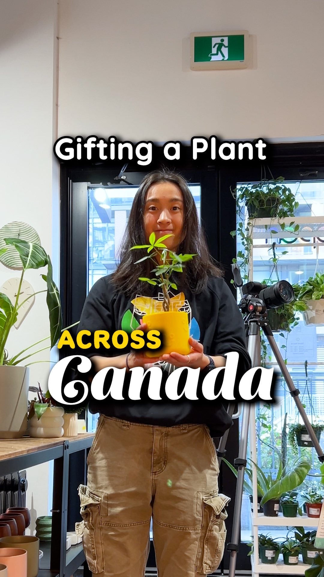 Gifting a plant across Canada | JOMO Studio | Buy Plants Online | Houseplant Delivery & Plant Care